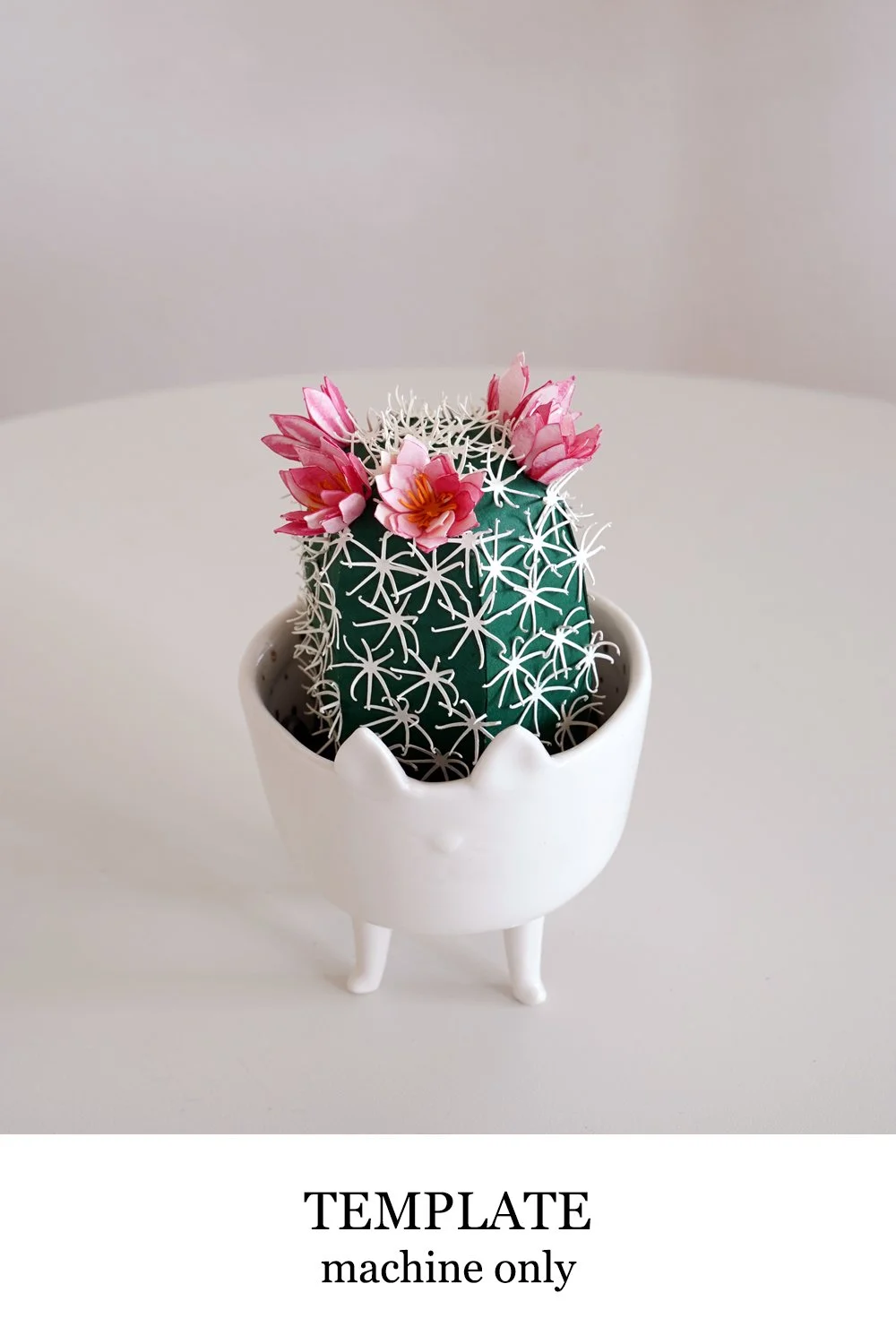 Pincushion Cactus