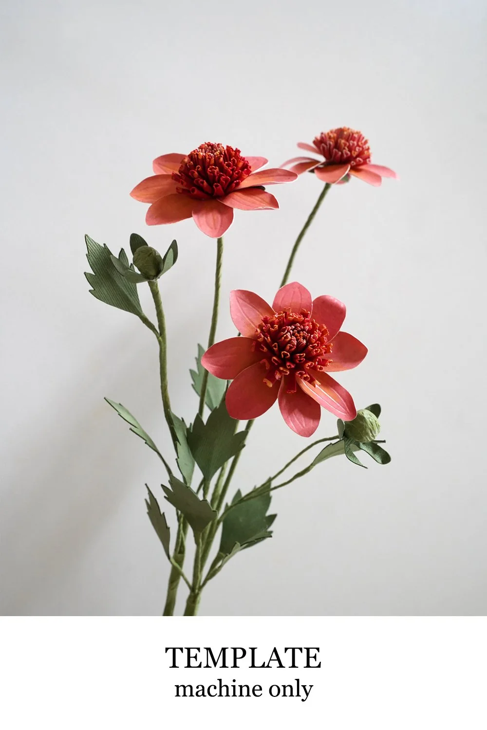 Totally Tangerine Dahlia