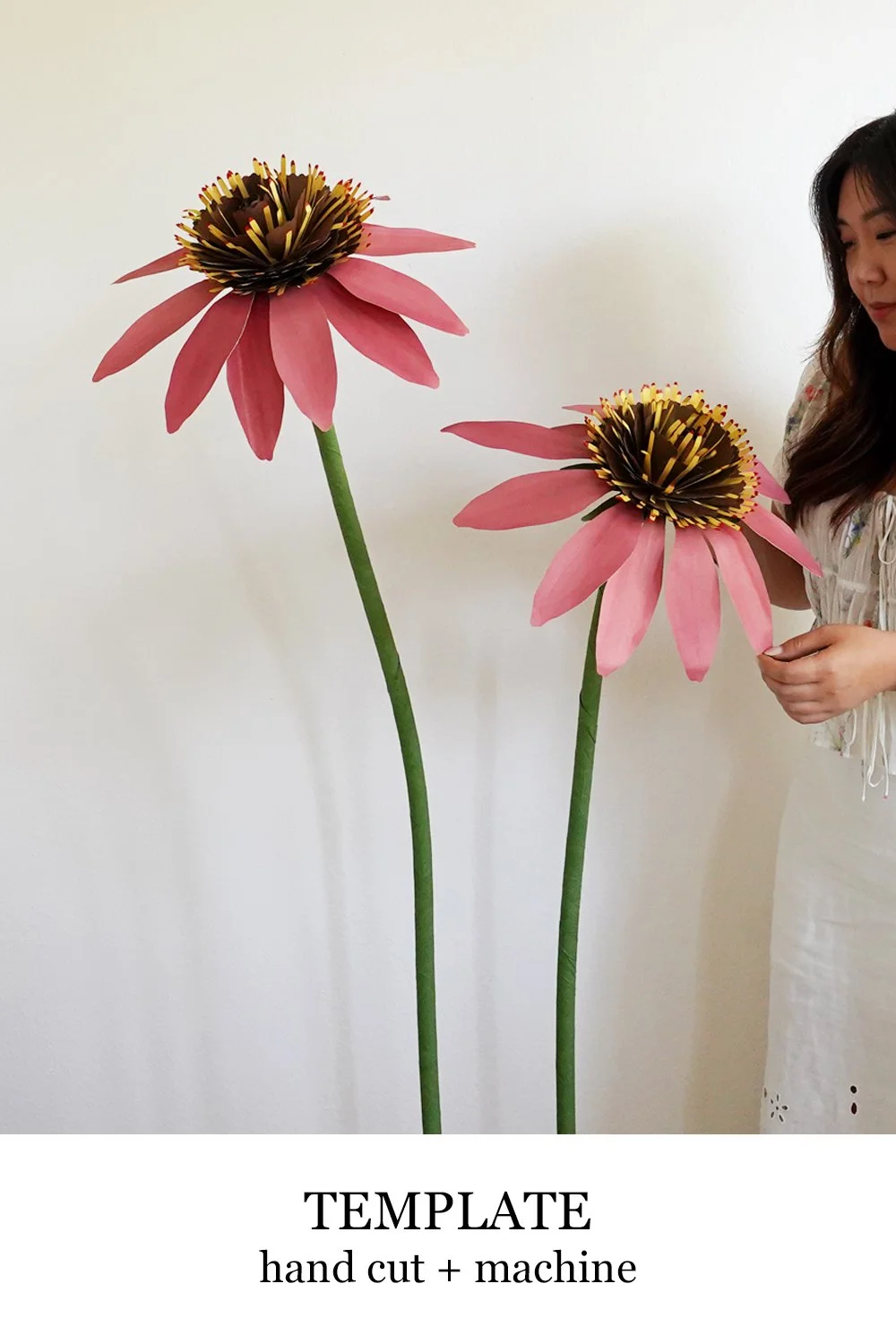 giant coneflower.jpg