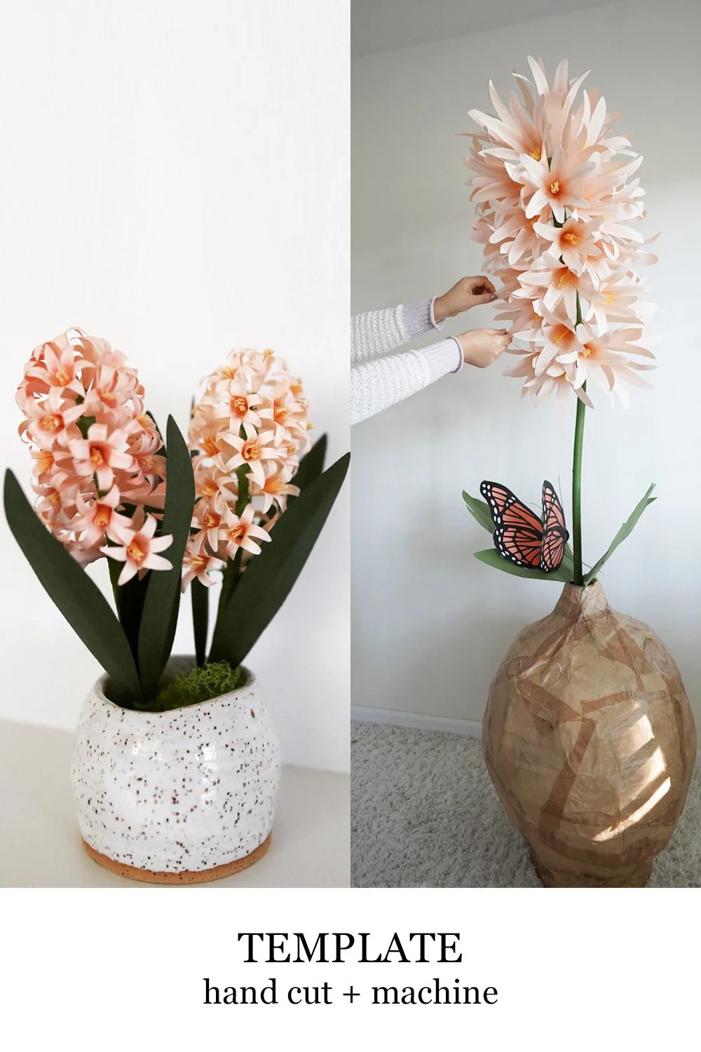 Hyacinth Small + Giant