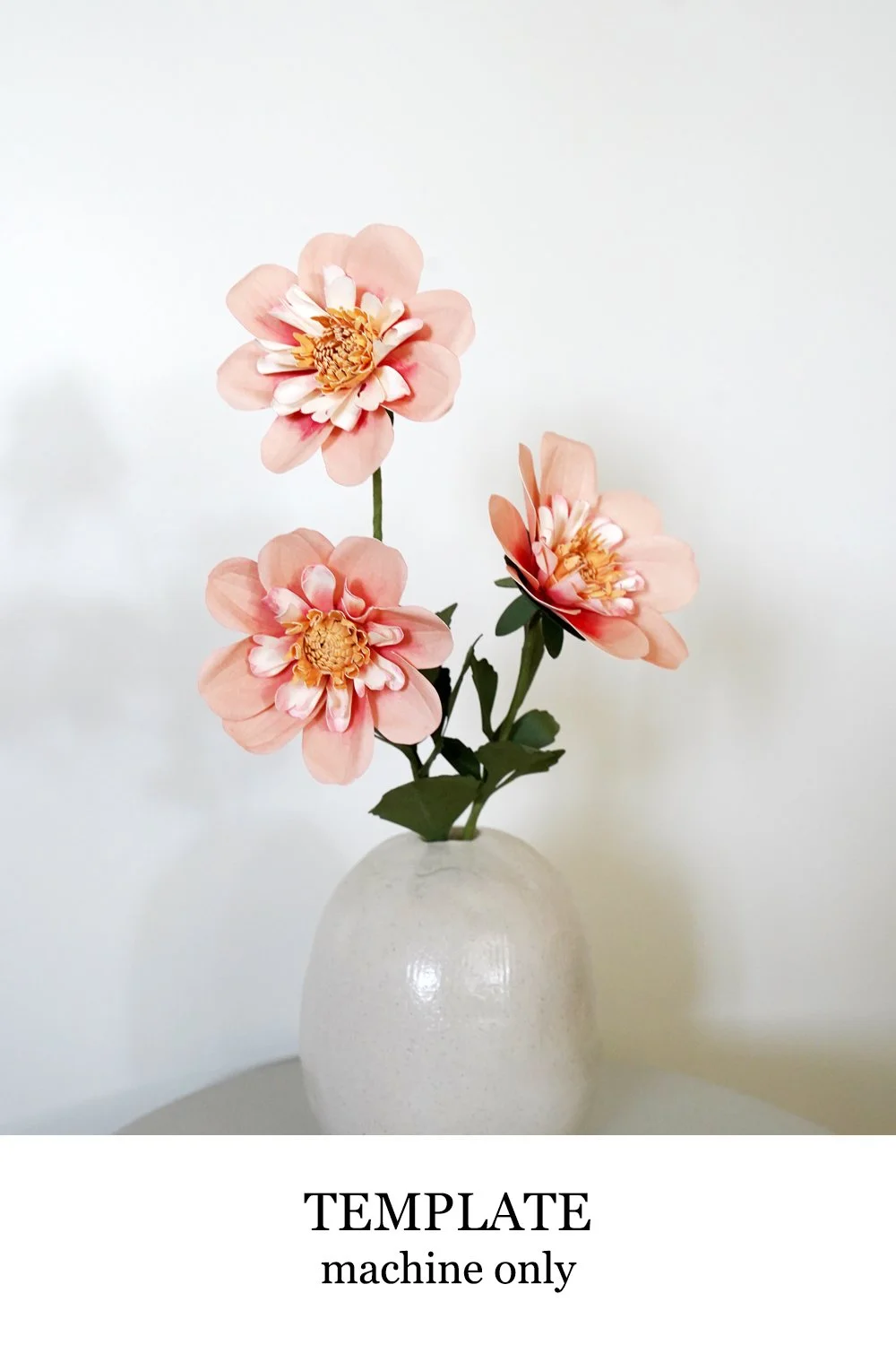 dahlia rhubarb and custard.jpg
