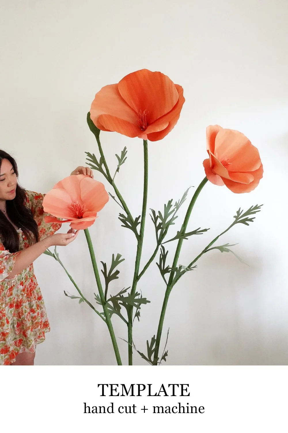 giant cali poppy.jpg