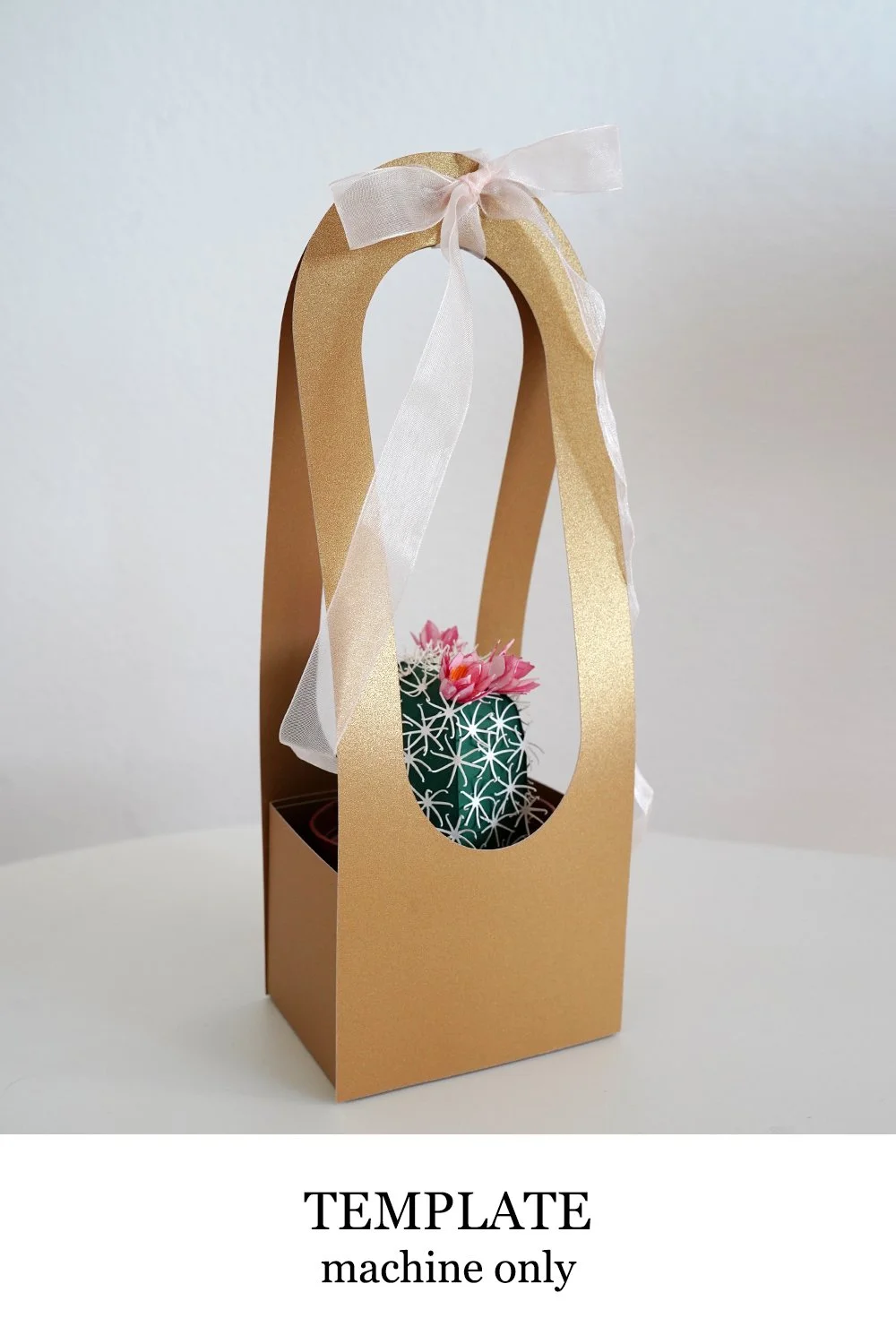 Oval Box