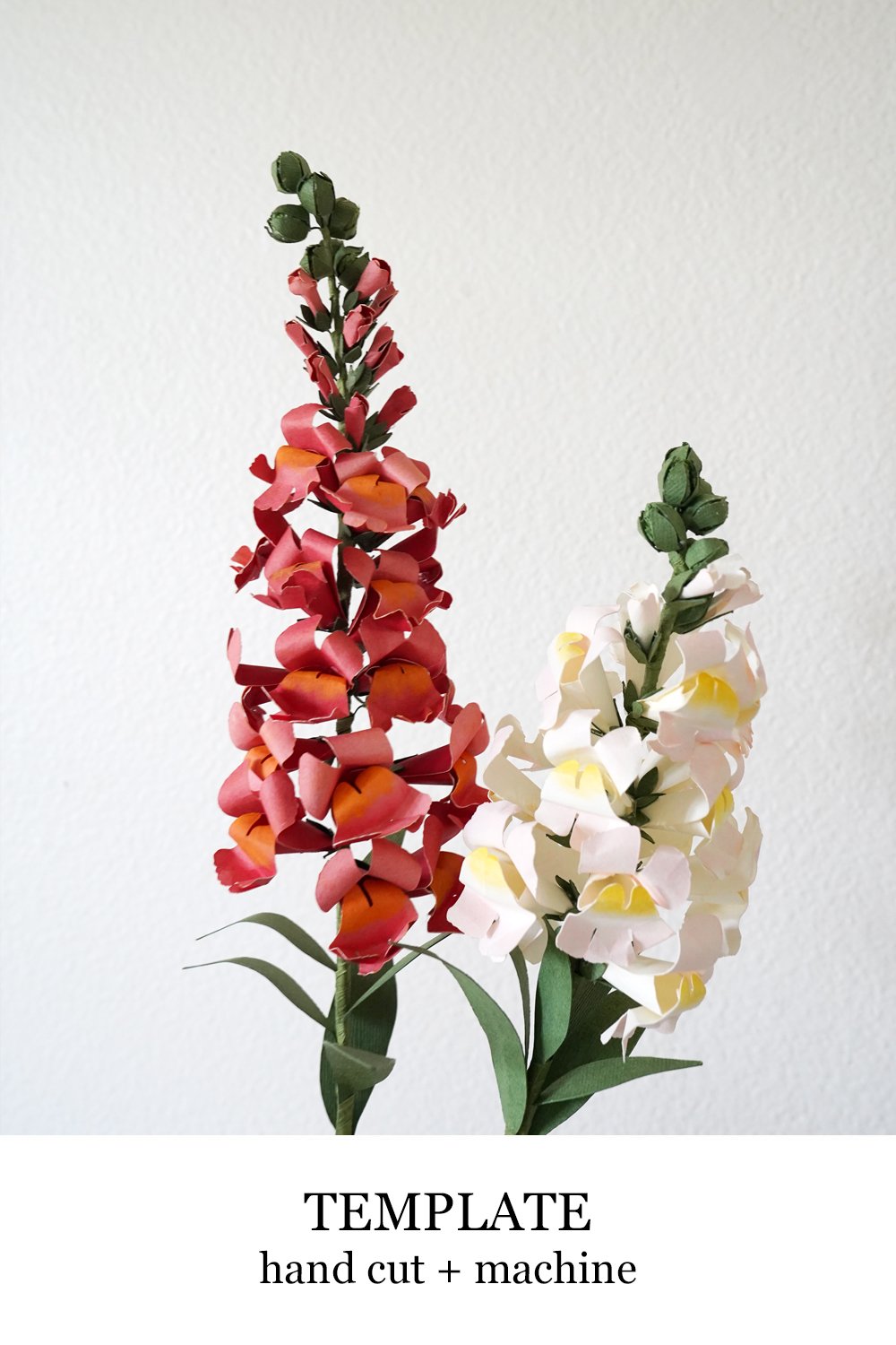 paper snapdragon template.jpg