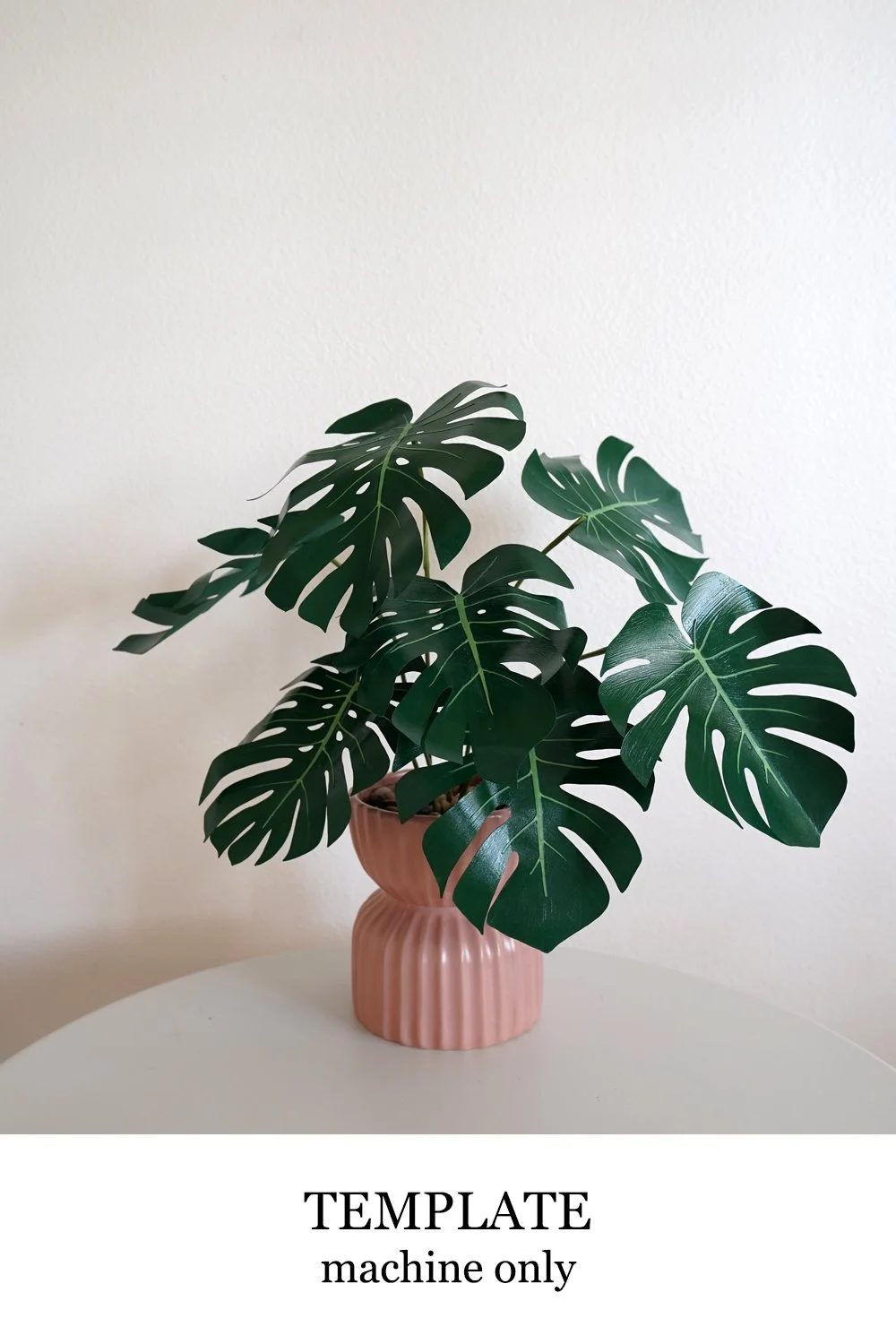 Monstera Leaf