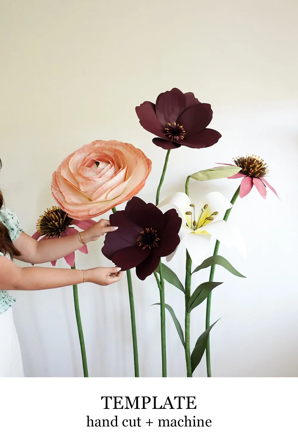 giant chocolate cosmos.jpg