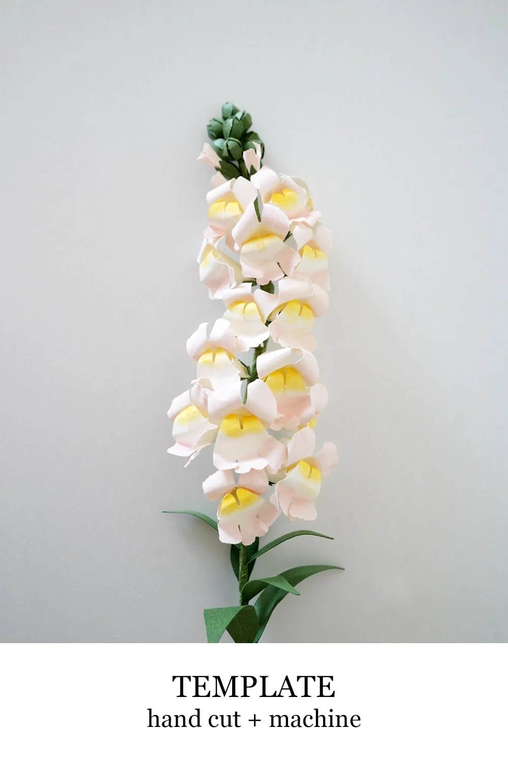 paper snapdragon.jpg