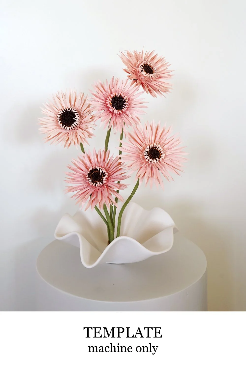 spider gerbera daisy.jpg