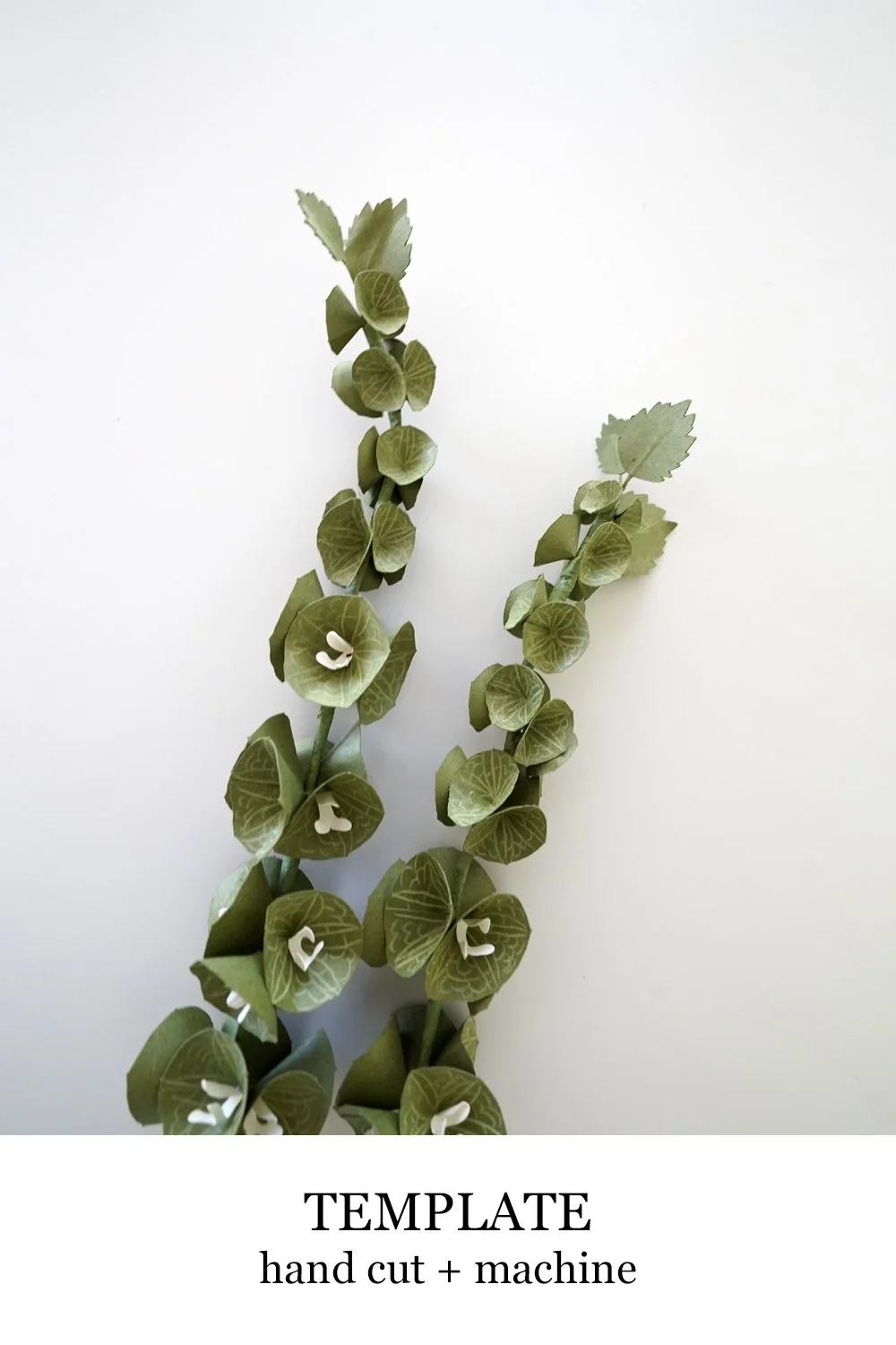 bells of ireland.jpg