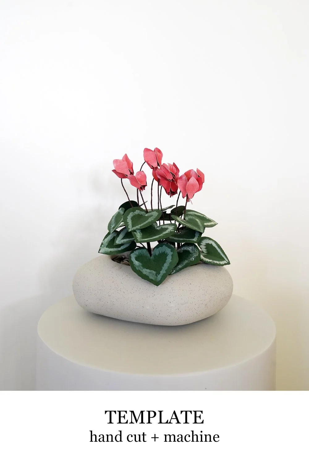 paper cyclamen.jpg