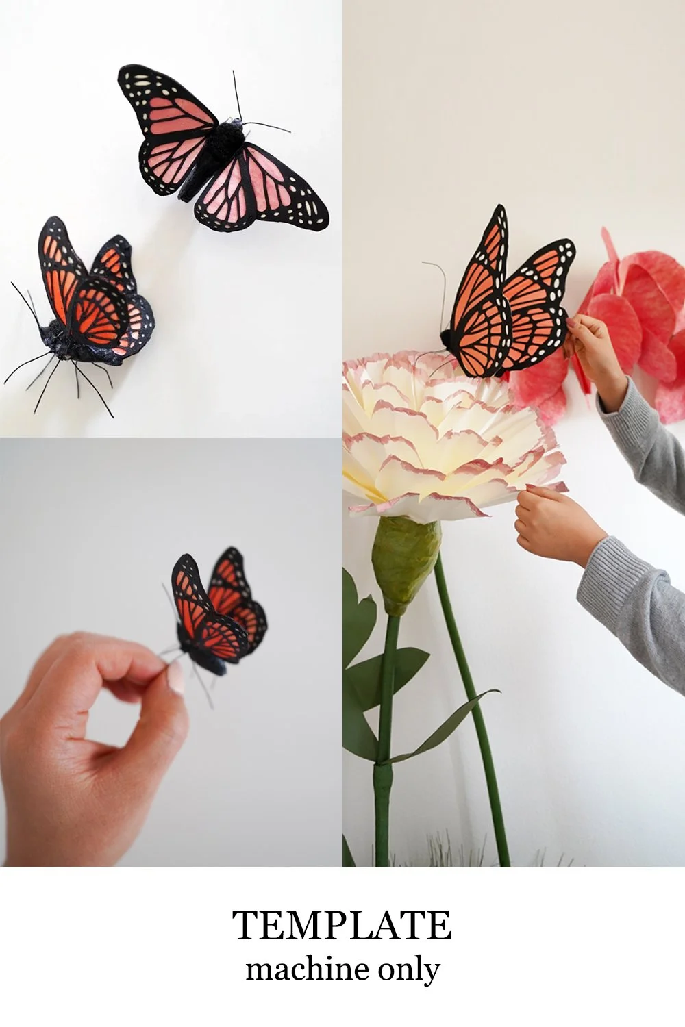 Butterfly Template