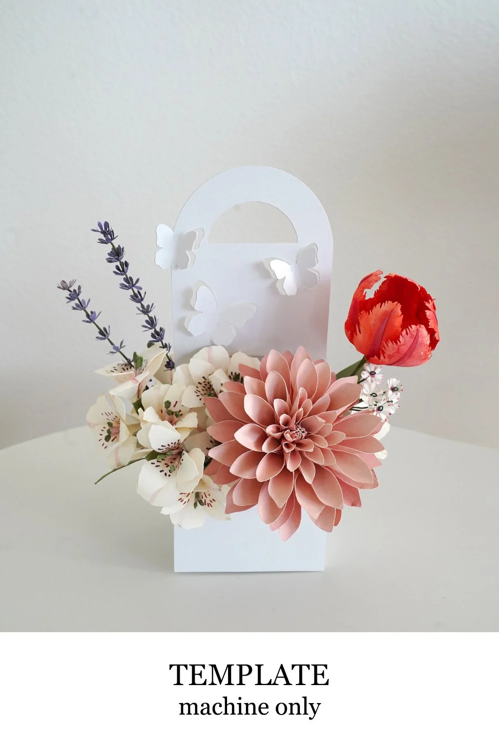 Butterfly Box