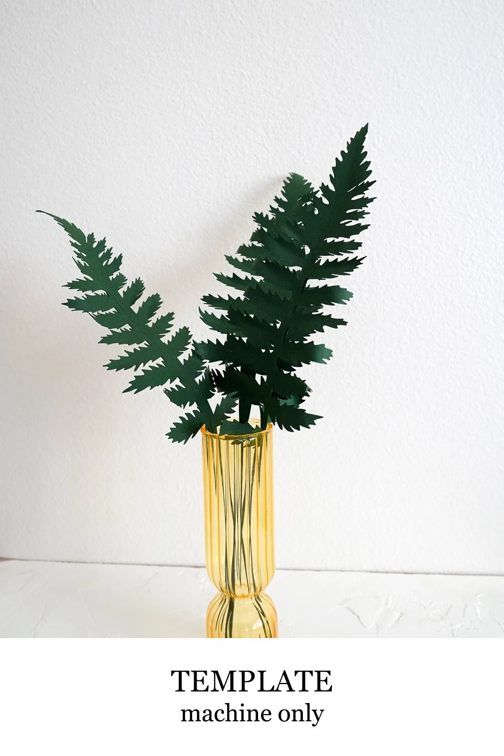 Simple Fern