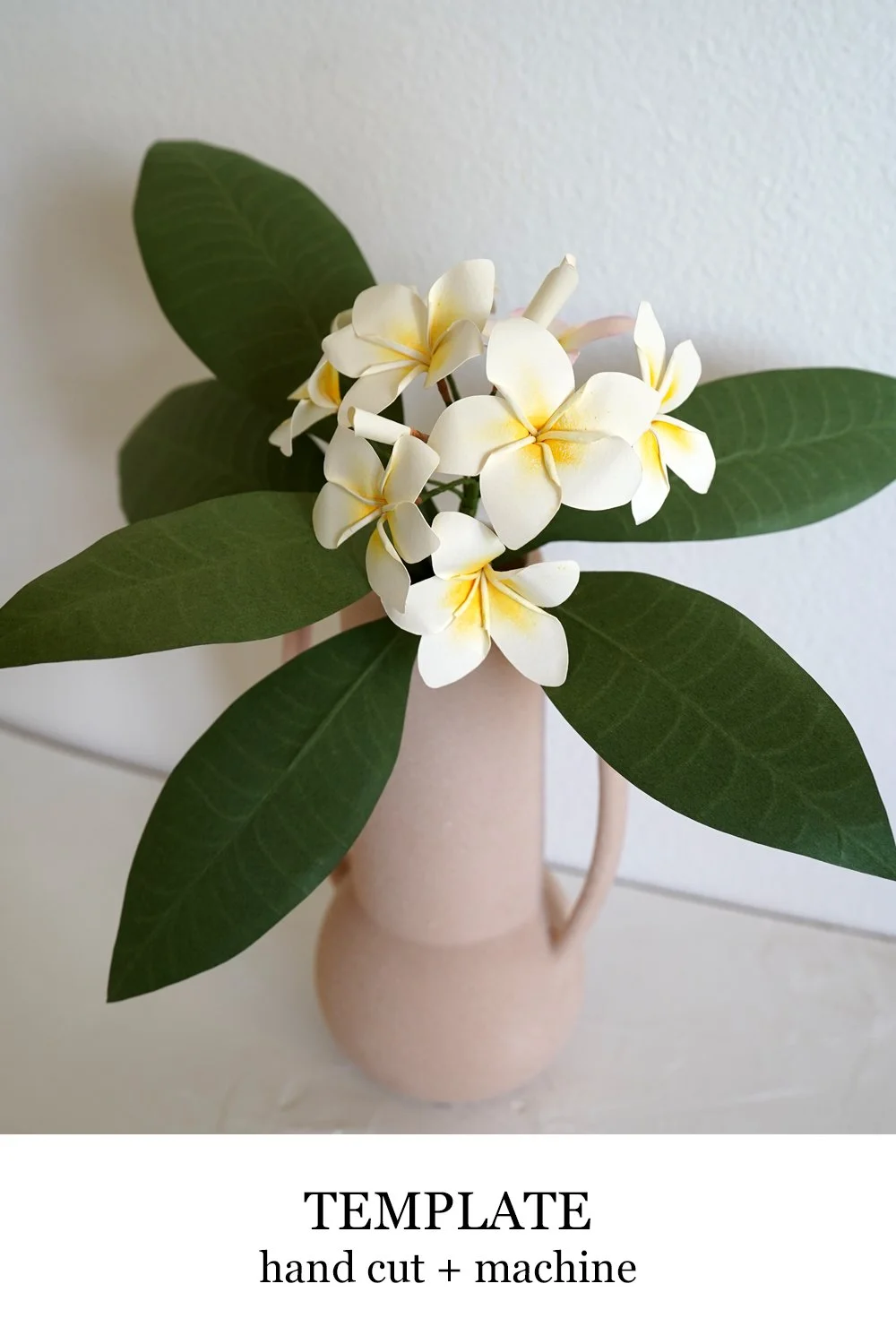 Plumeria