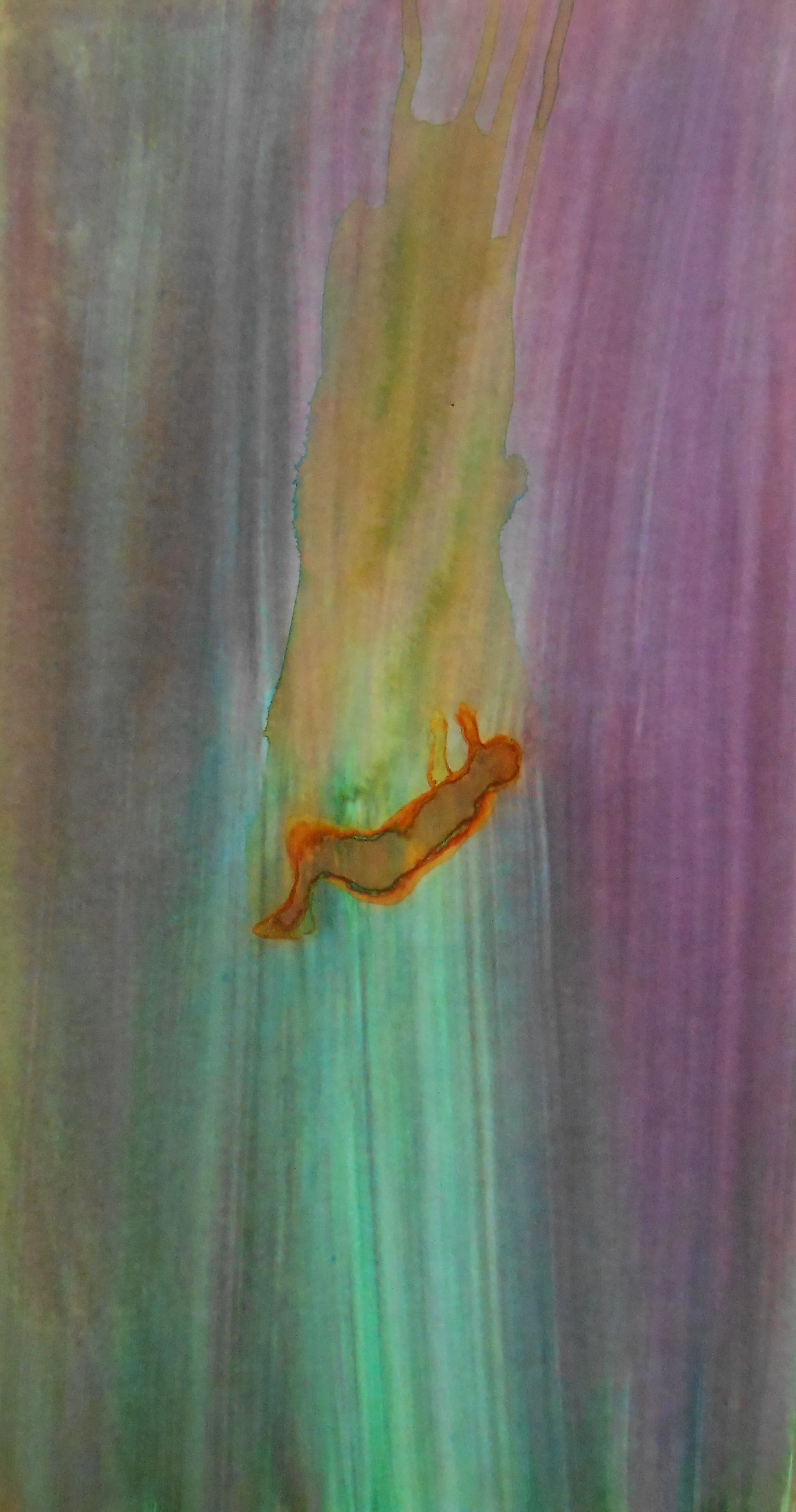 DSCN1719.JPG