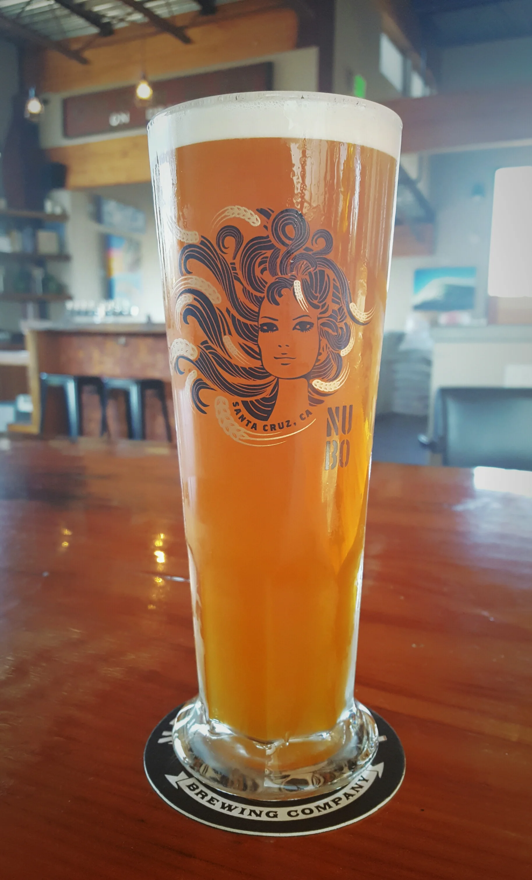 OPA! Apricot Oat Pale Ale