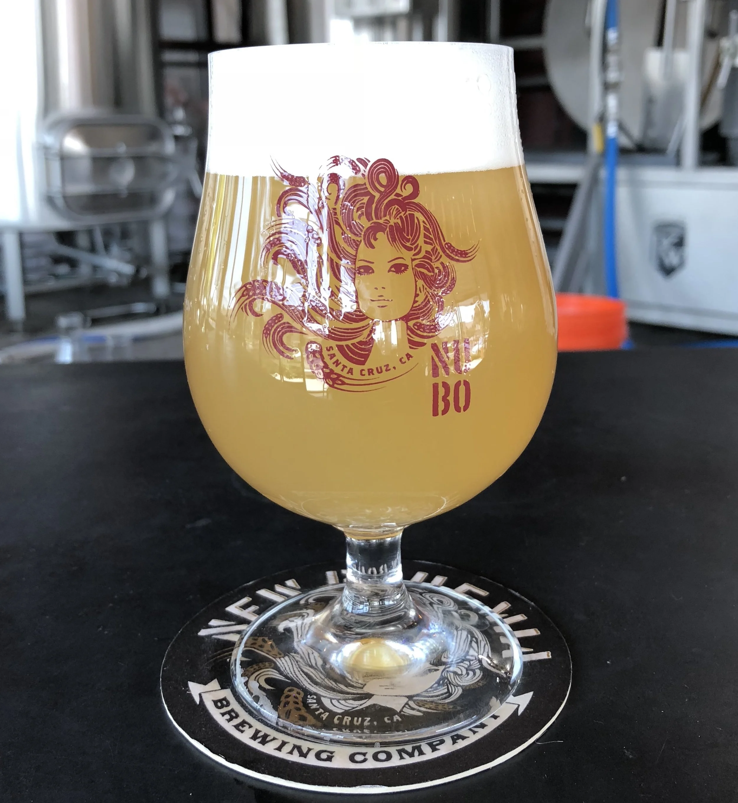 Paradox Honey Blonde (Honey Wheat Ale)