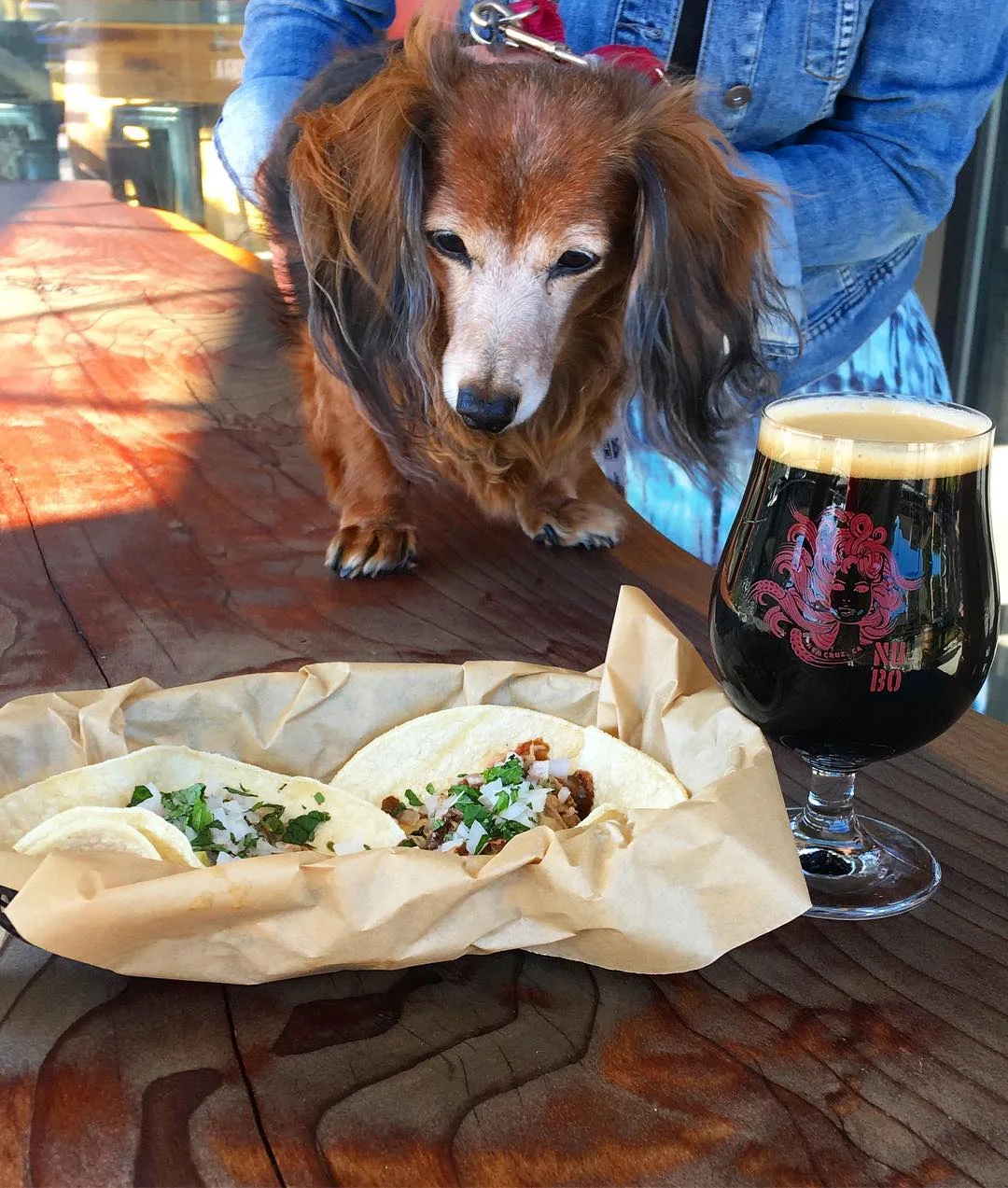 Taco Trivia and Dog.jpg