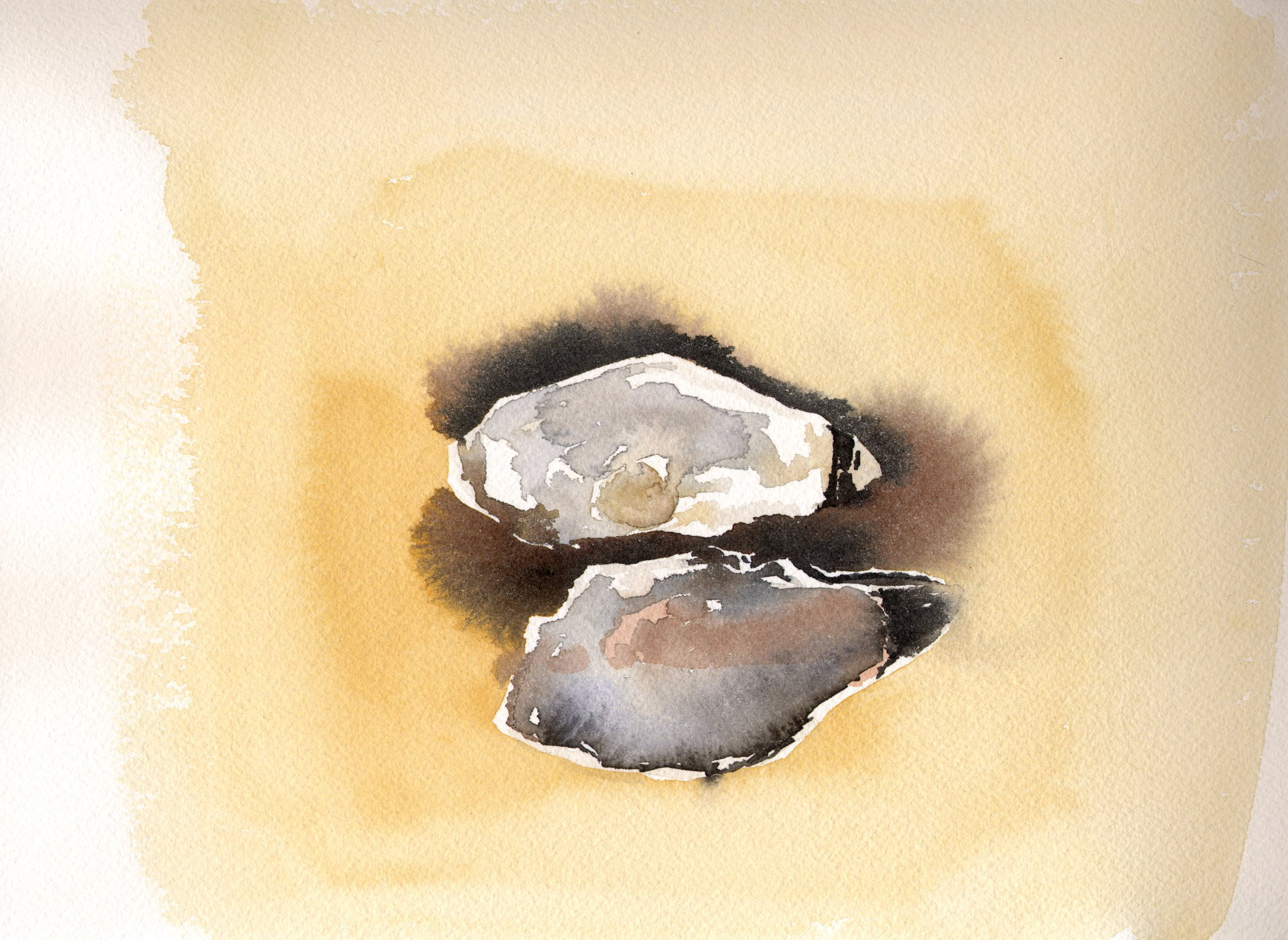 Watercolor Oyster Shells 3.jpg