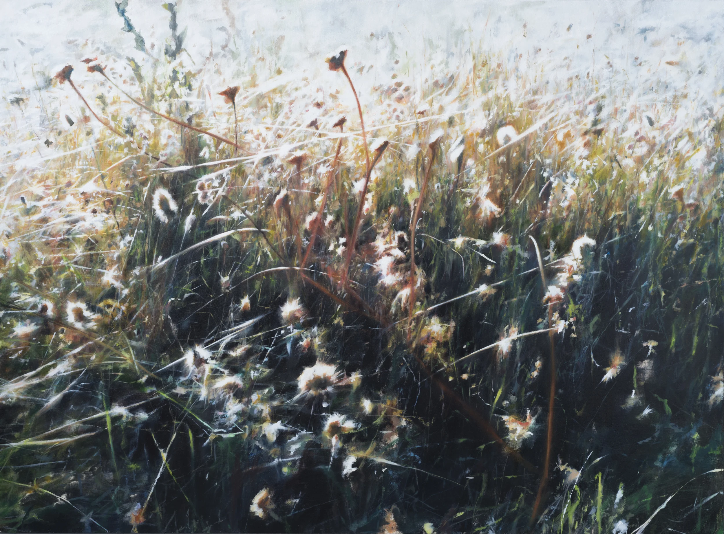 mt. tam • 40" x 52" oil on canvas 2012