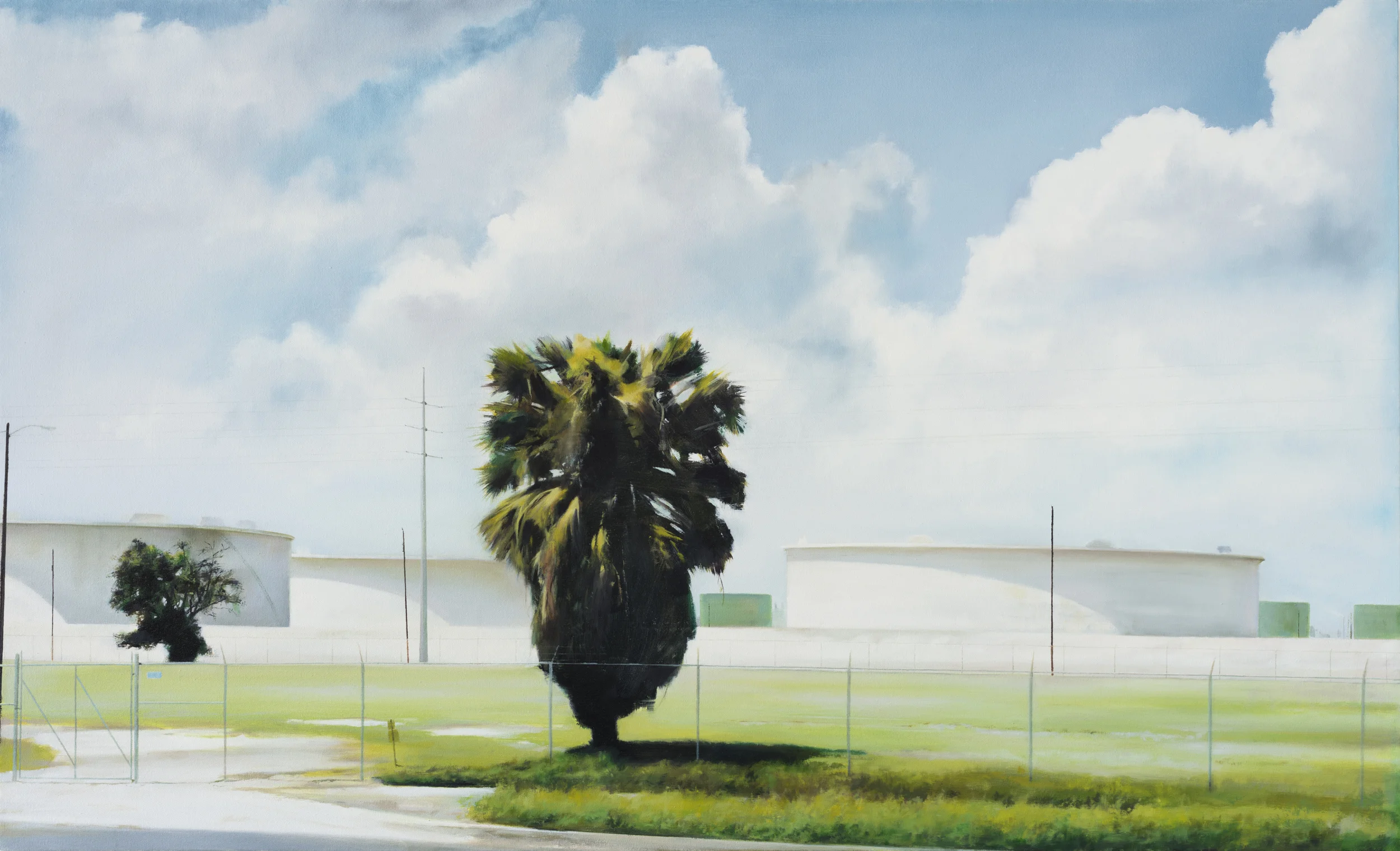 cctx • 34" x 56" oil on canvas 2012