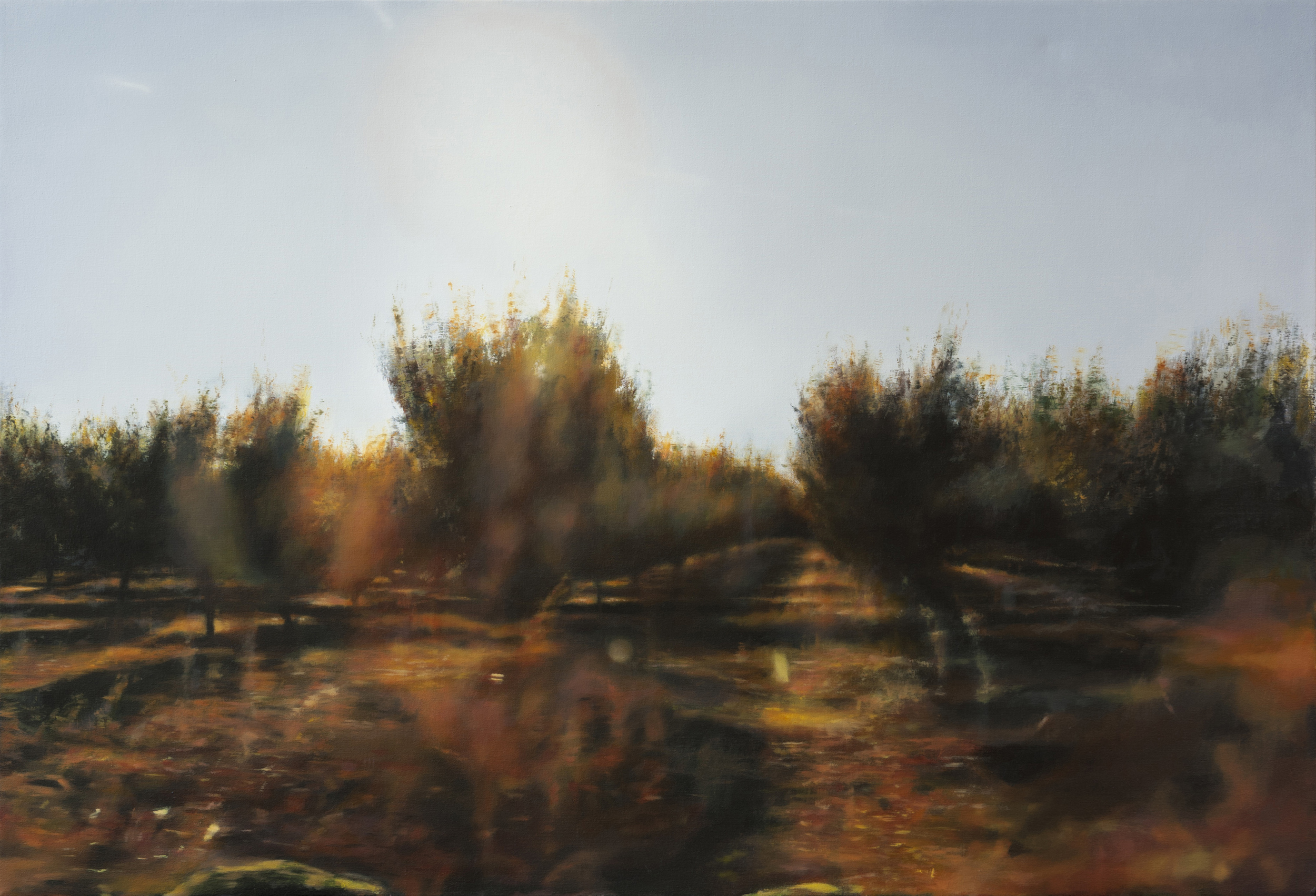   orchard 5&nbsp;&nbsp; •  34" x 50"  oil on canvas  2012    