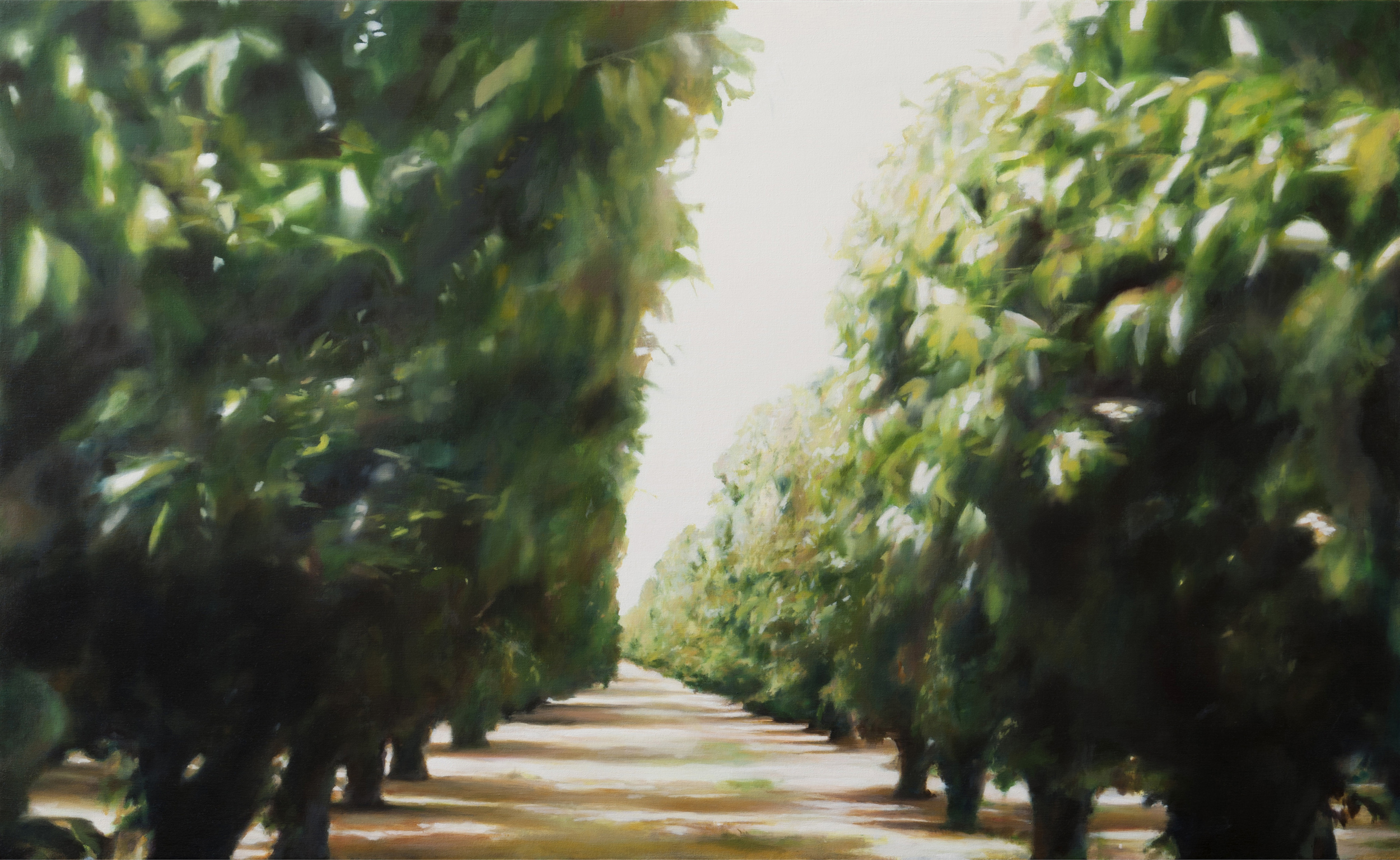   orchard 4&nbsp;&nbsp;  •   34" x 56"  oil on canvas  2012    