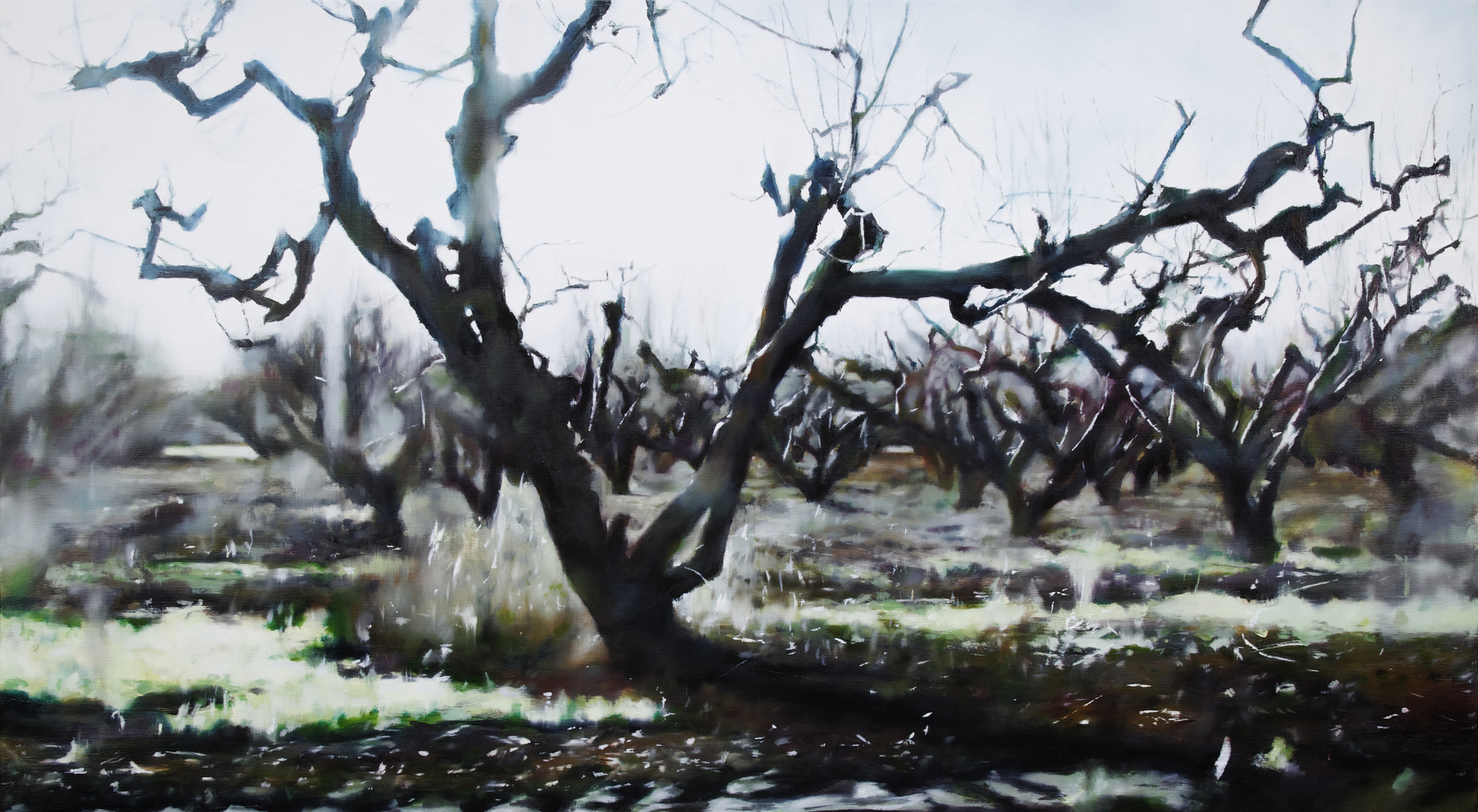   trees&nbsp;&nbsp; •  28" x 50"  oil on canvas  2011    