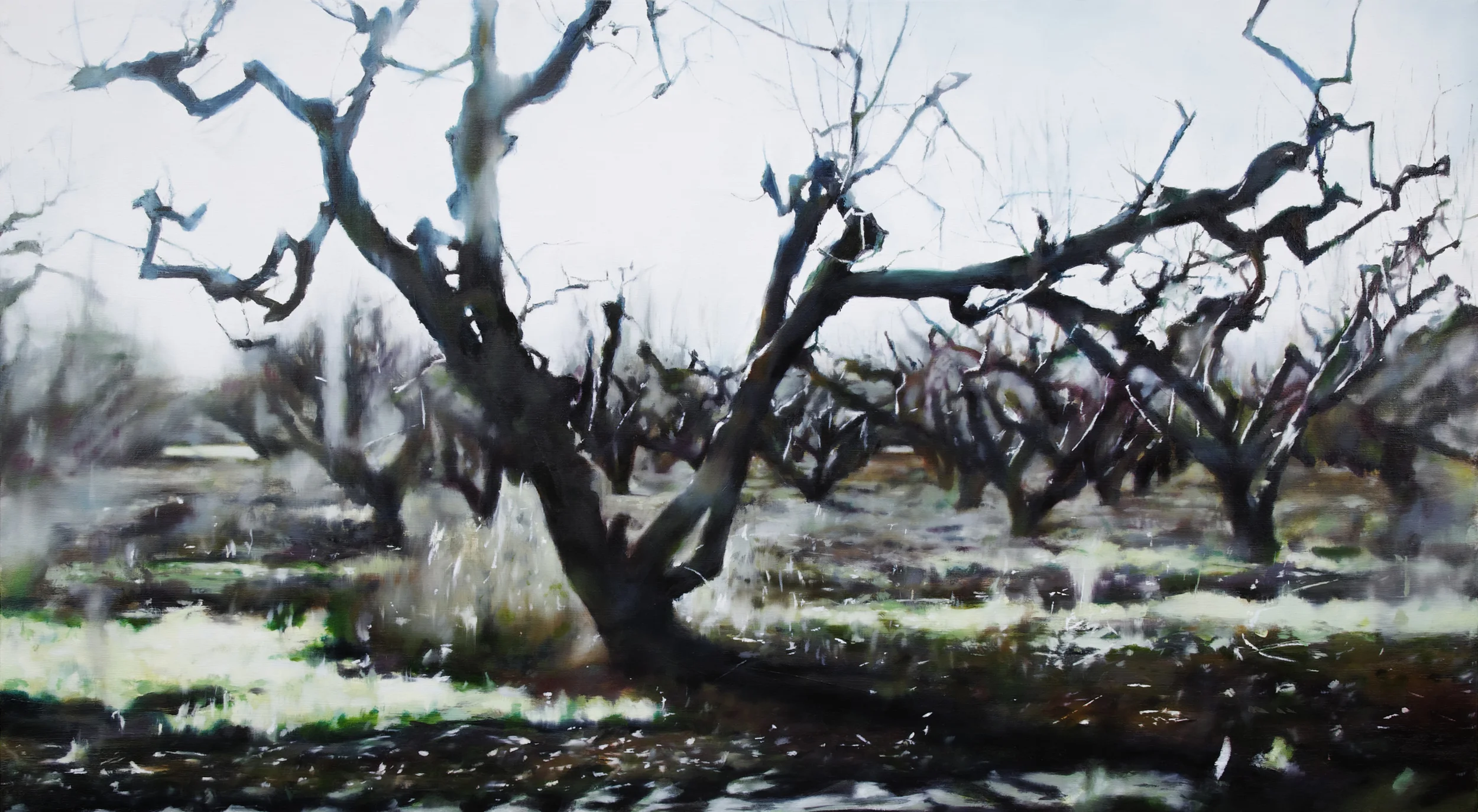 trees • 28" x 50" oil on canvas 2011