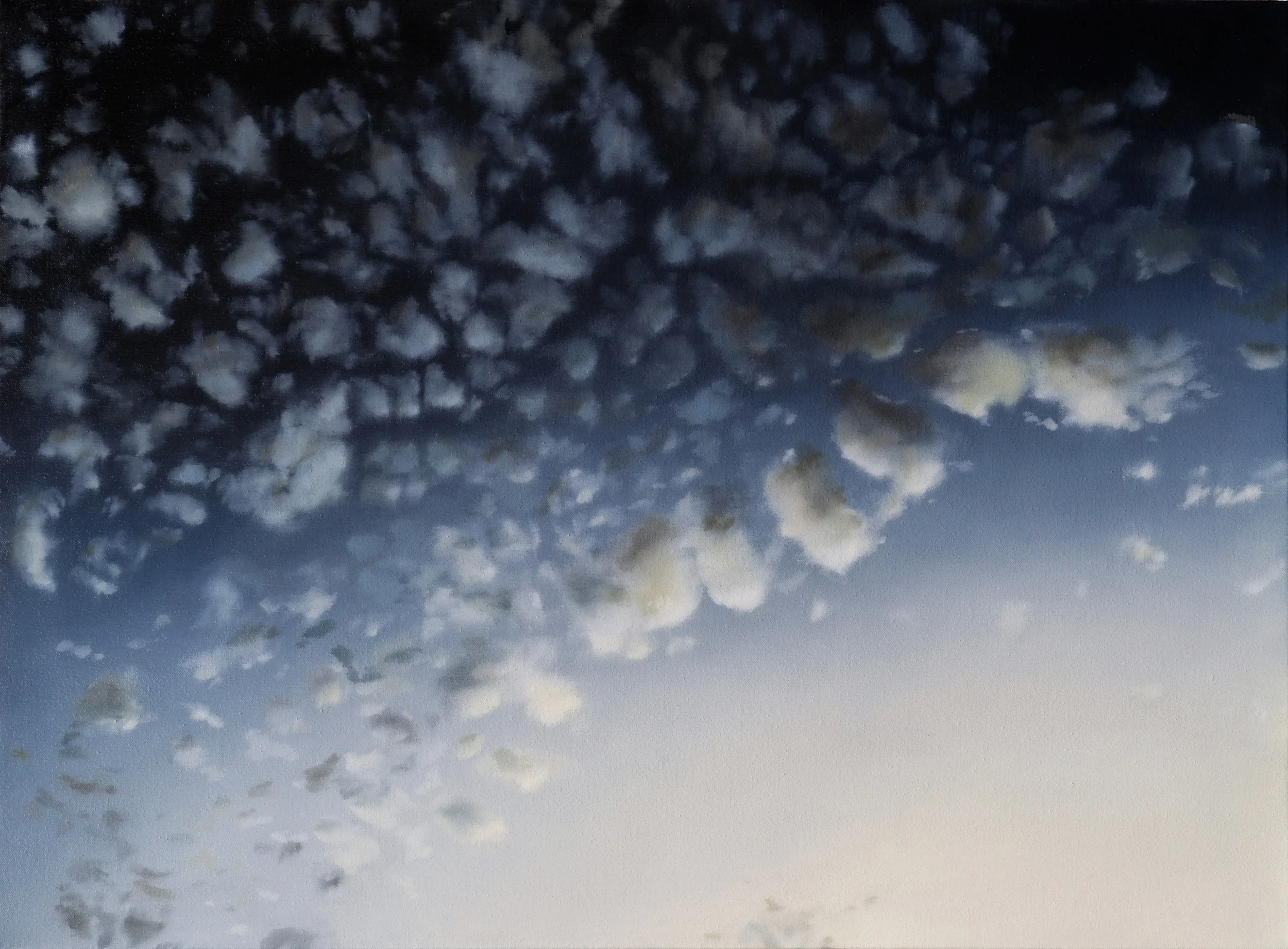 clouds • 22" x 30" oil on canvas 2009