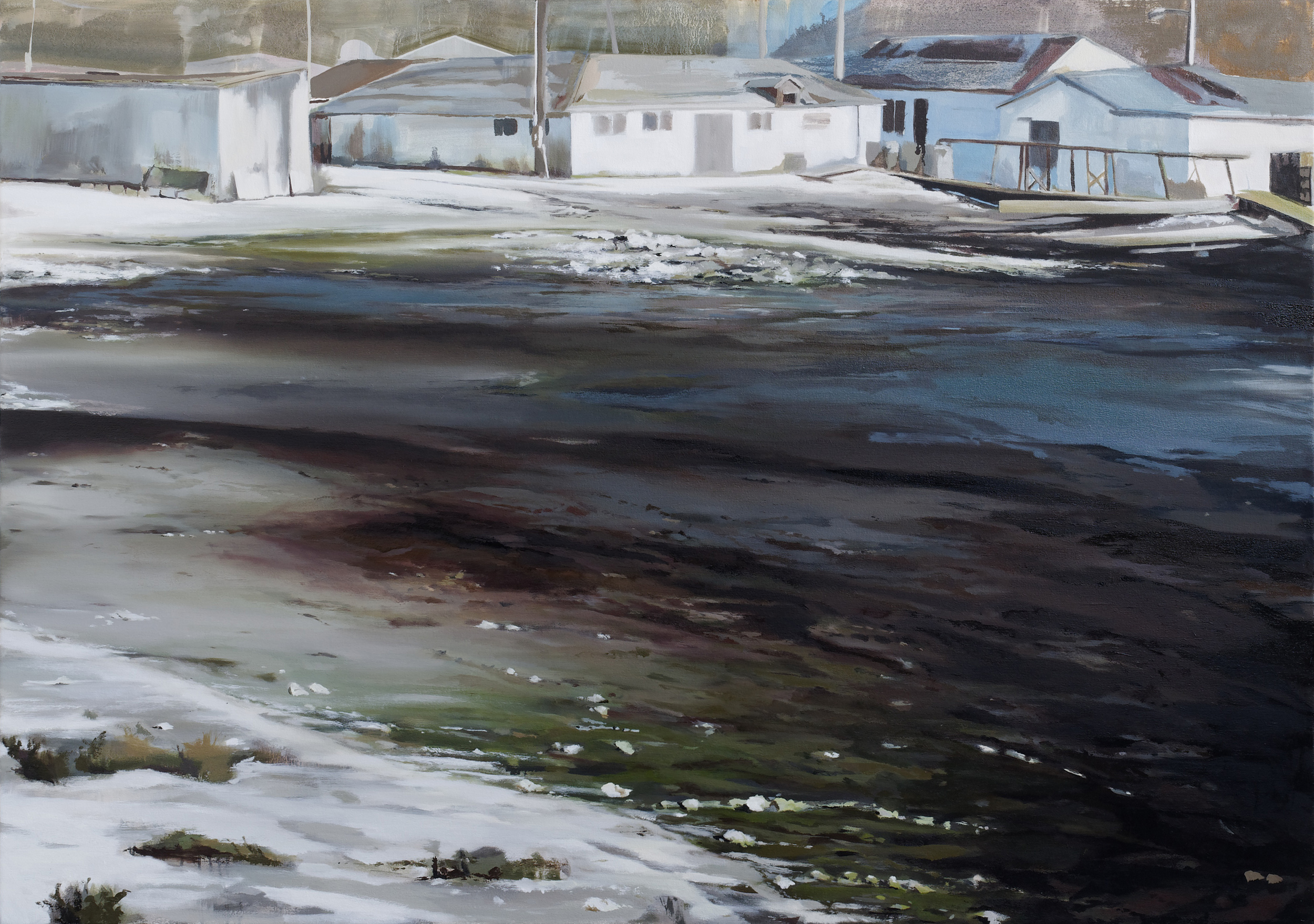   drake's estero   45" x 64"  oil on canvas  2009    