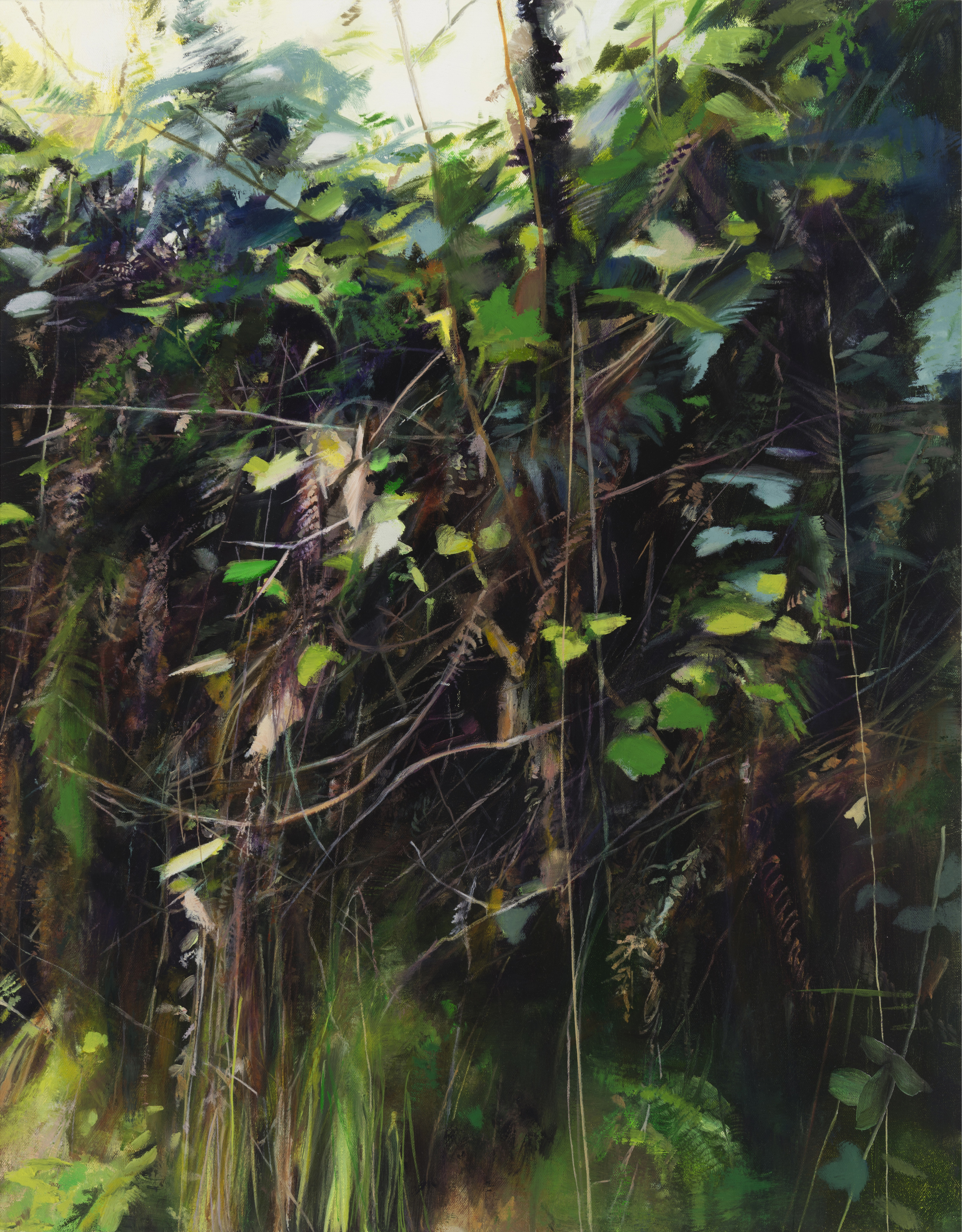   bear valley &nbsp; •  22" x 28"  oil on canvas  2014    