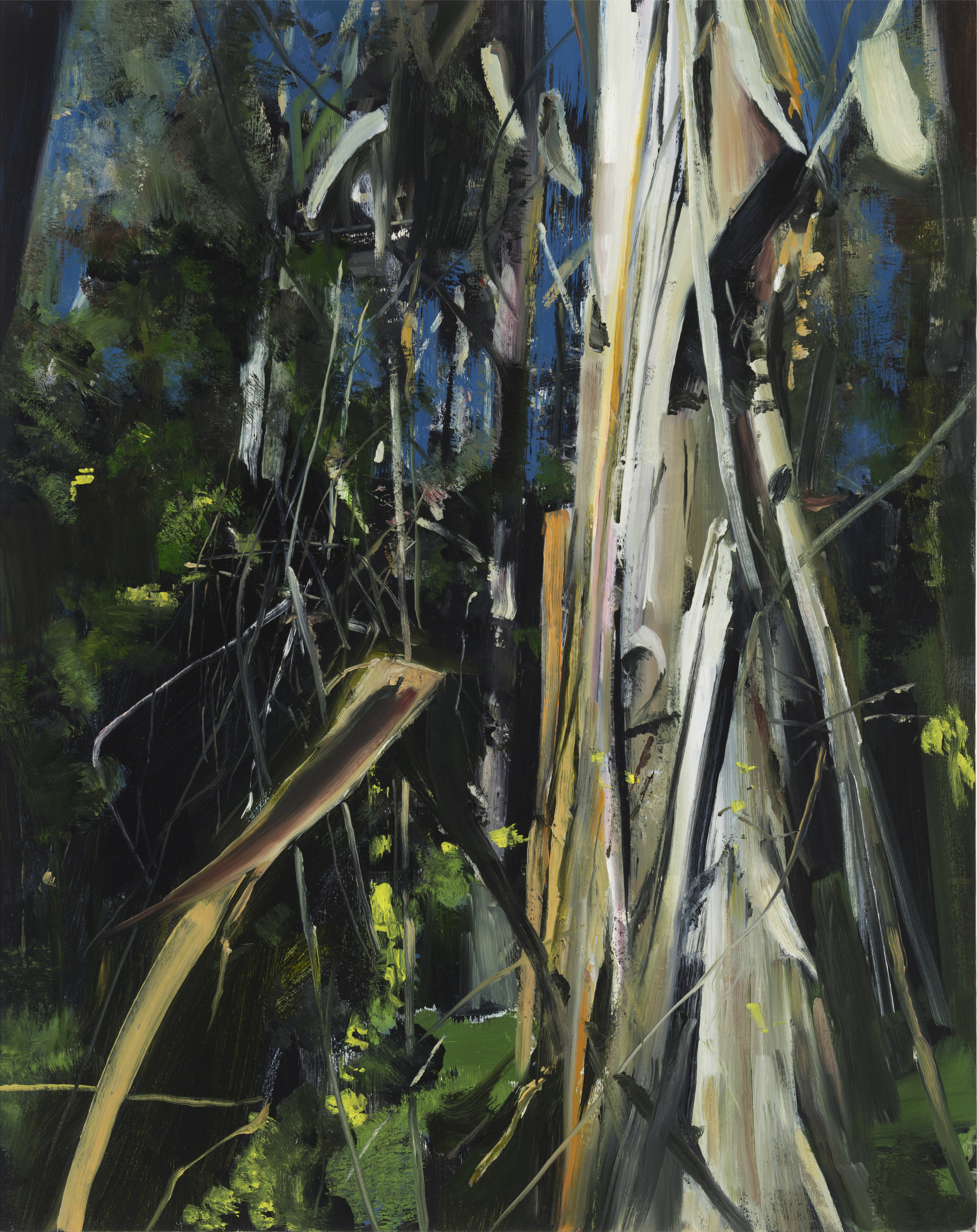   palomarin (eucalyptus)&nbsp;&nbsp; •  30" x 24"  oil on canvas  2014    