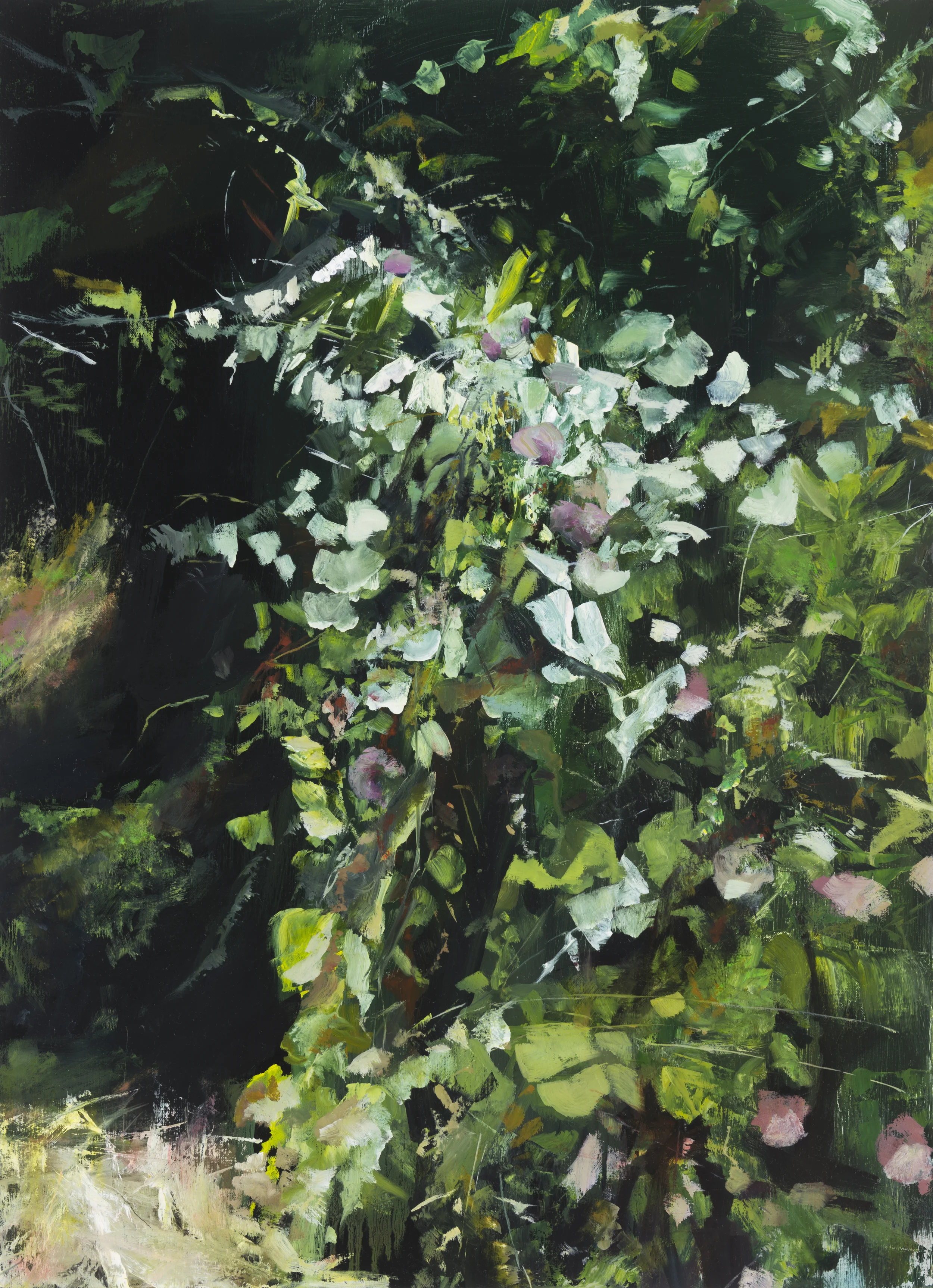 palomarin (purple) • 30" x 22" oil on canvas 2014