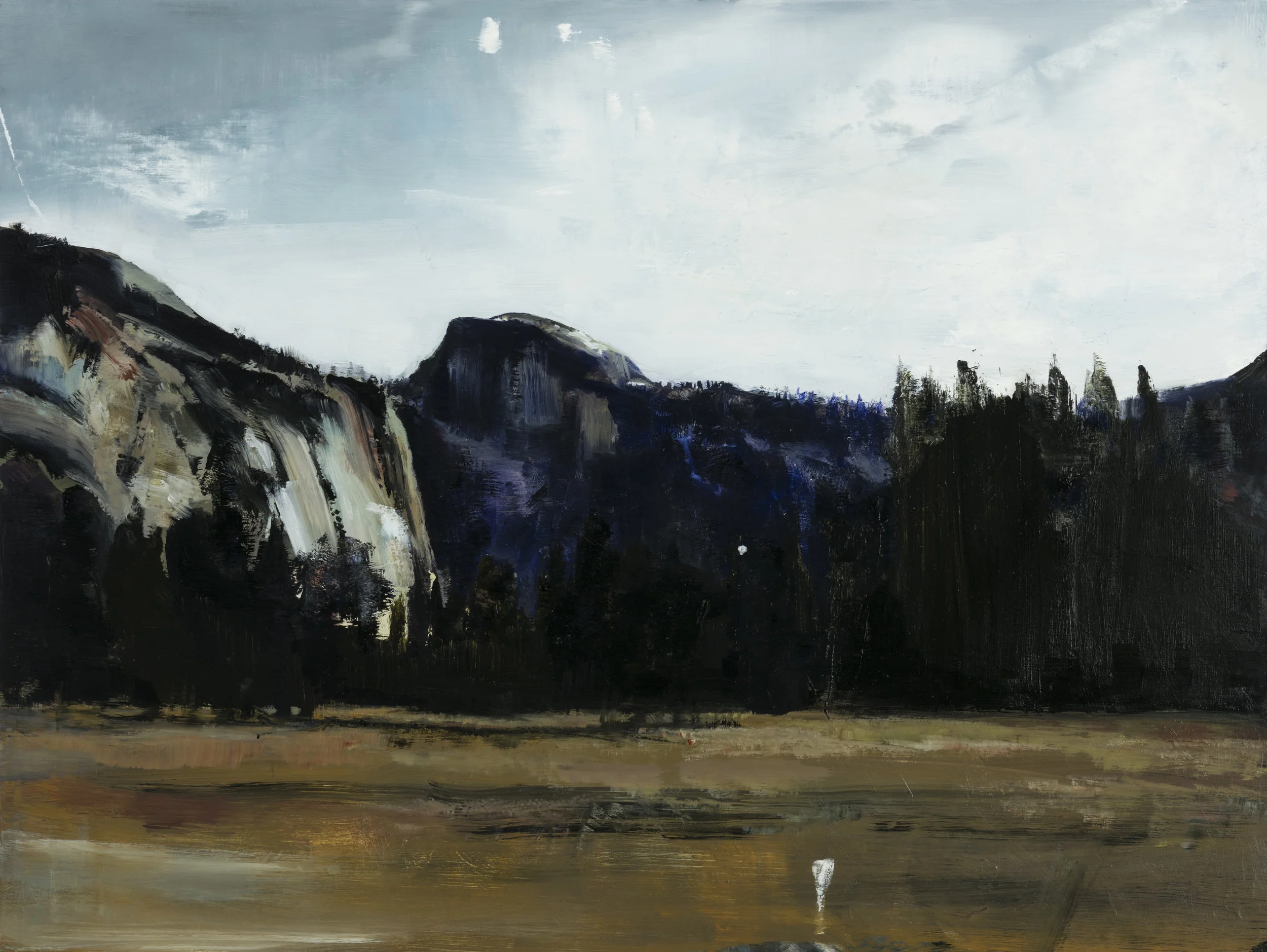 yosemite valley 18" x 24" oil on panel 2016