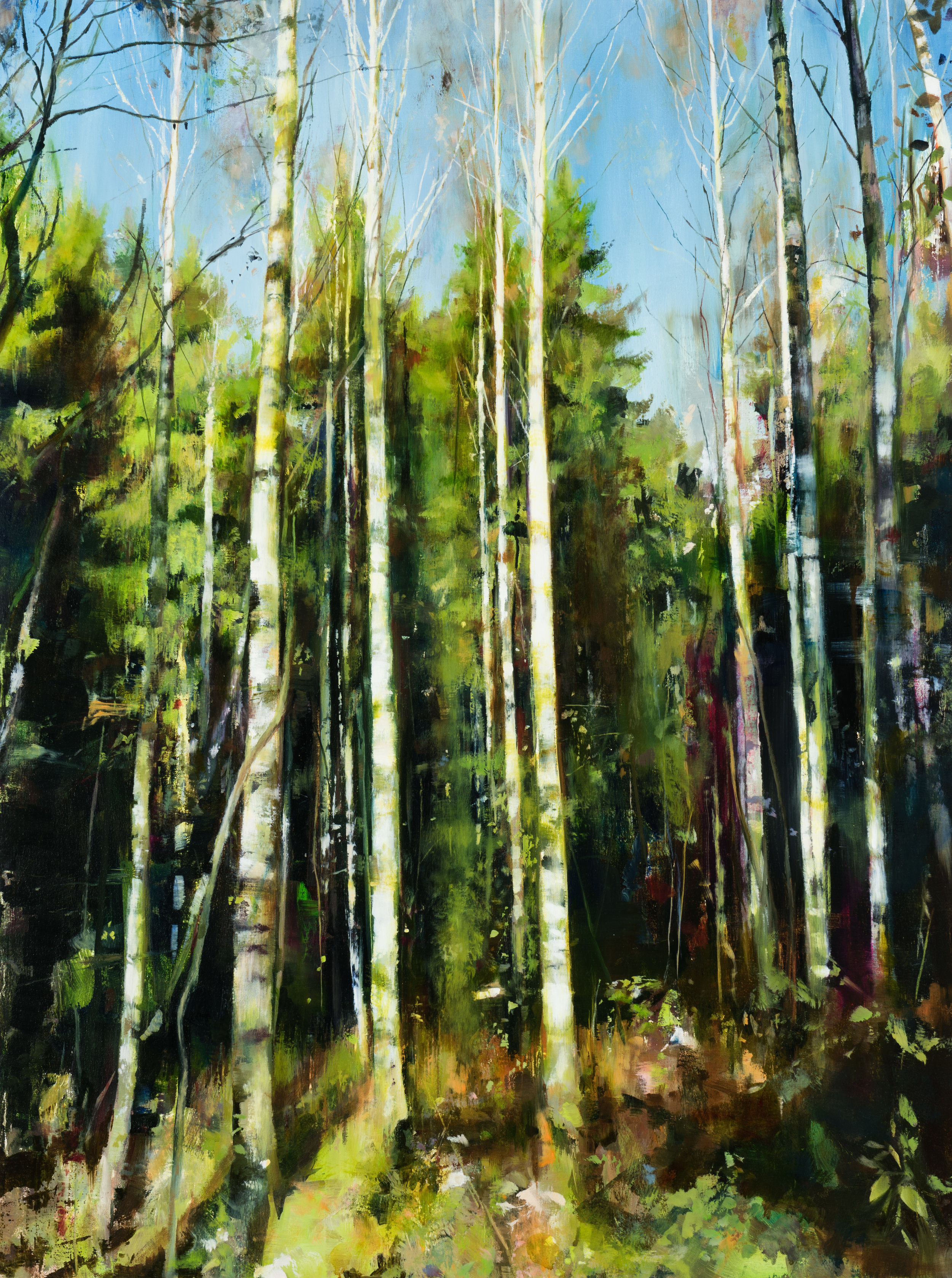   birch &nbsp; •  40" x 30"  oil on canvas  2017    