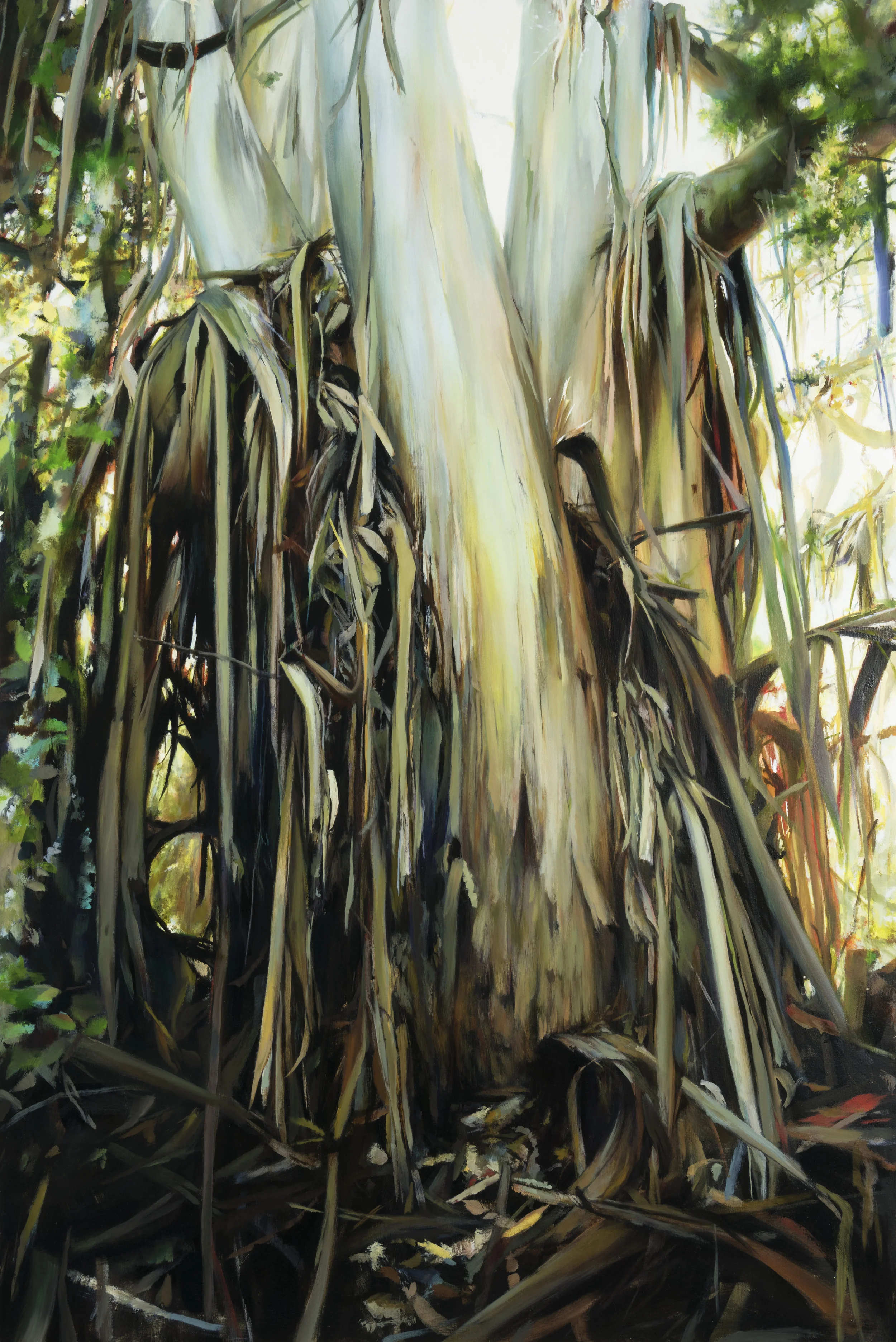 Wunderlich • 60" x 40" oil on canvas 2017