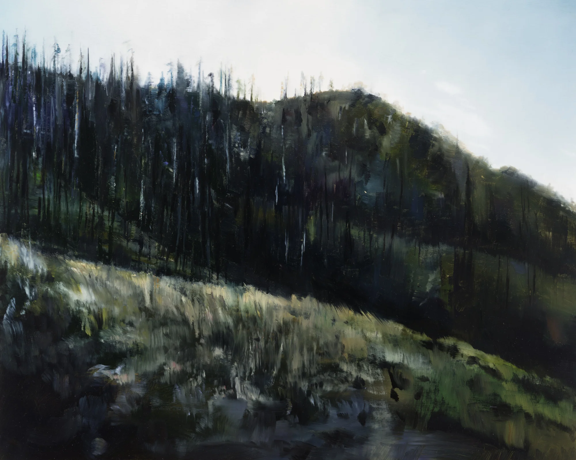 kings canyon fire 16" x 20" oil on canvas 2018