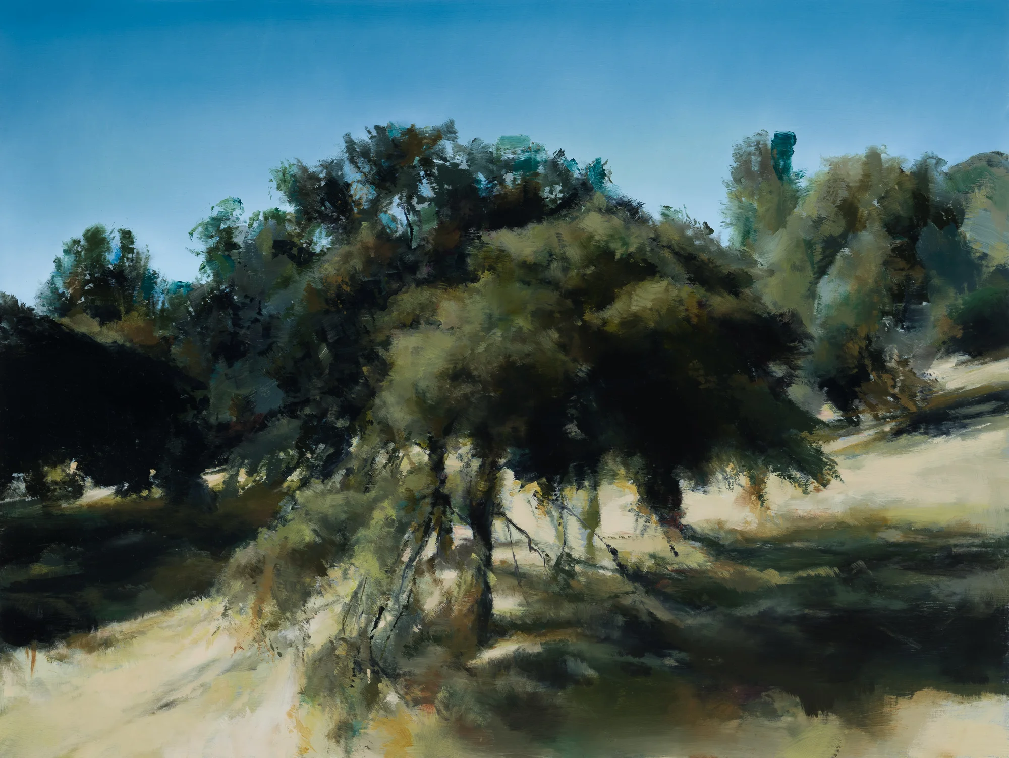near yosemite 18" x 24" oil on panel 2019