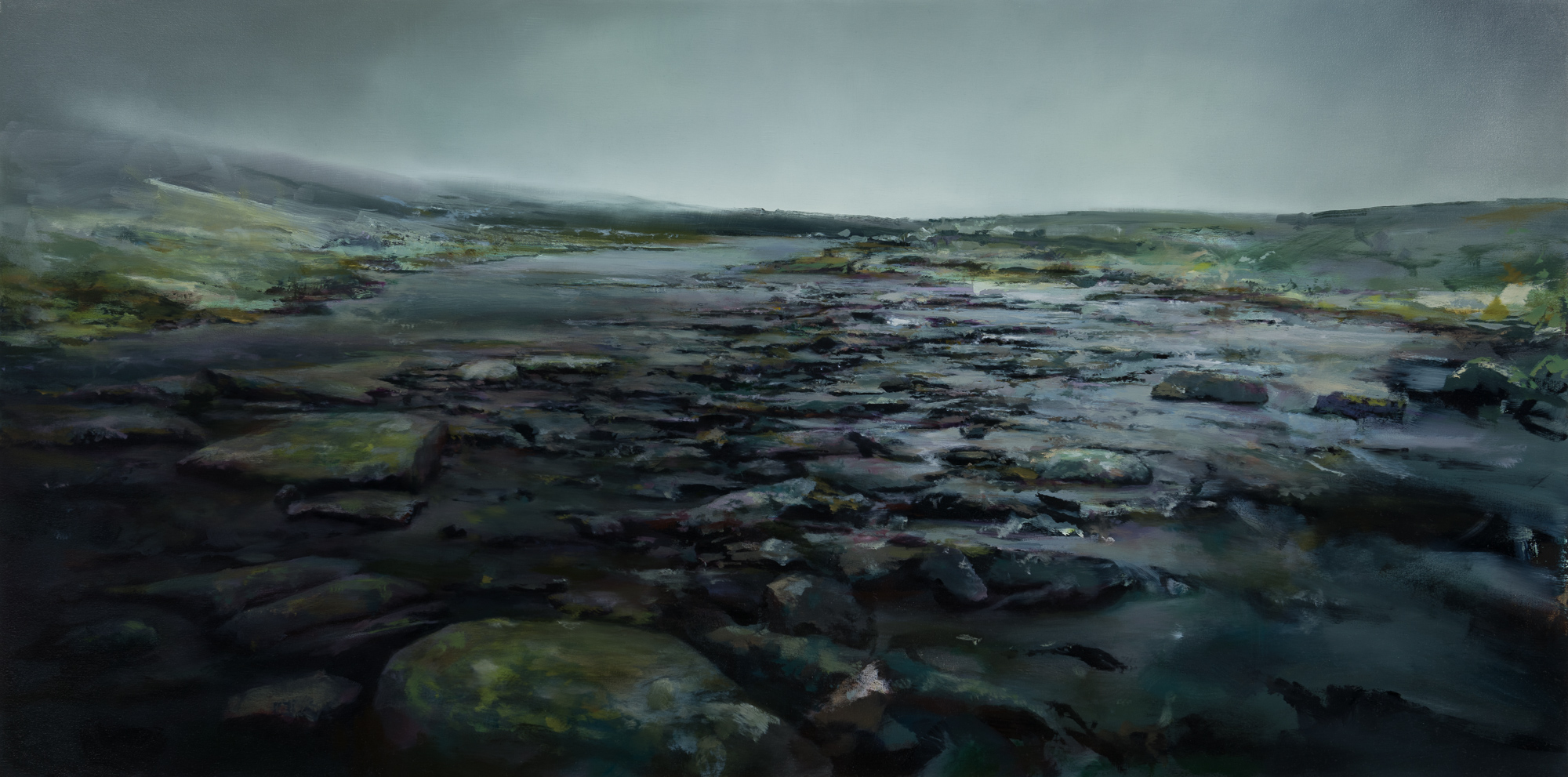   under the rocks and stones  •  30" x 60"  oil on canvas  2019     
