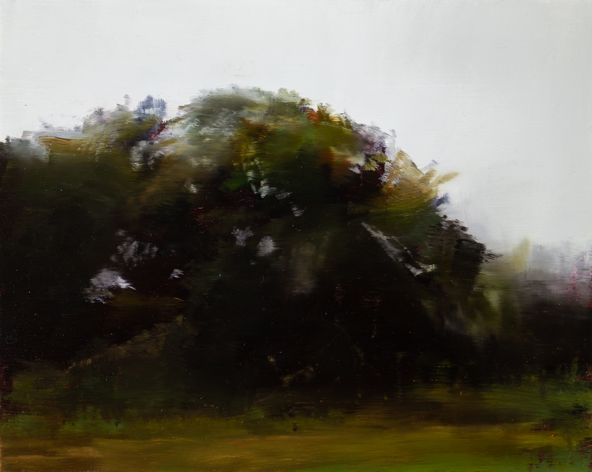   oak study   8" x 10"  oil on panel  2019     