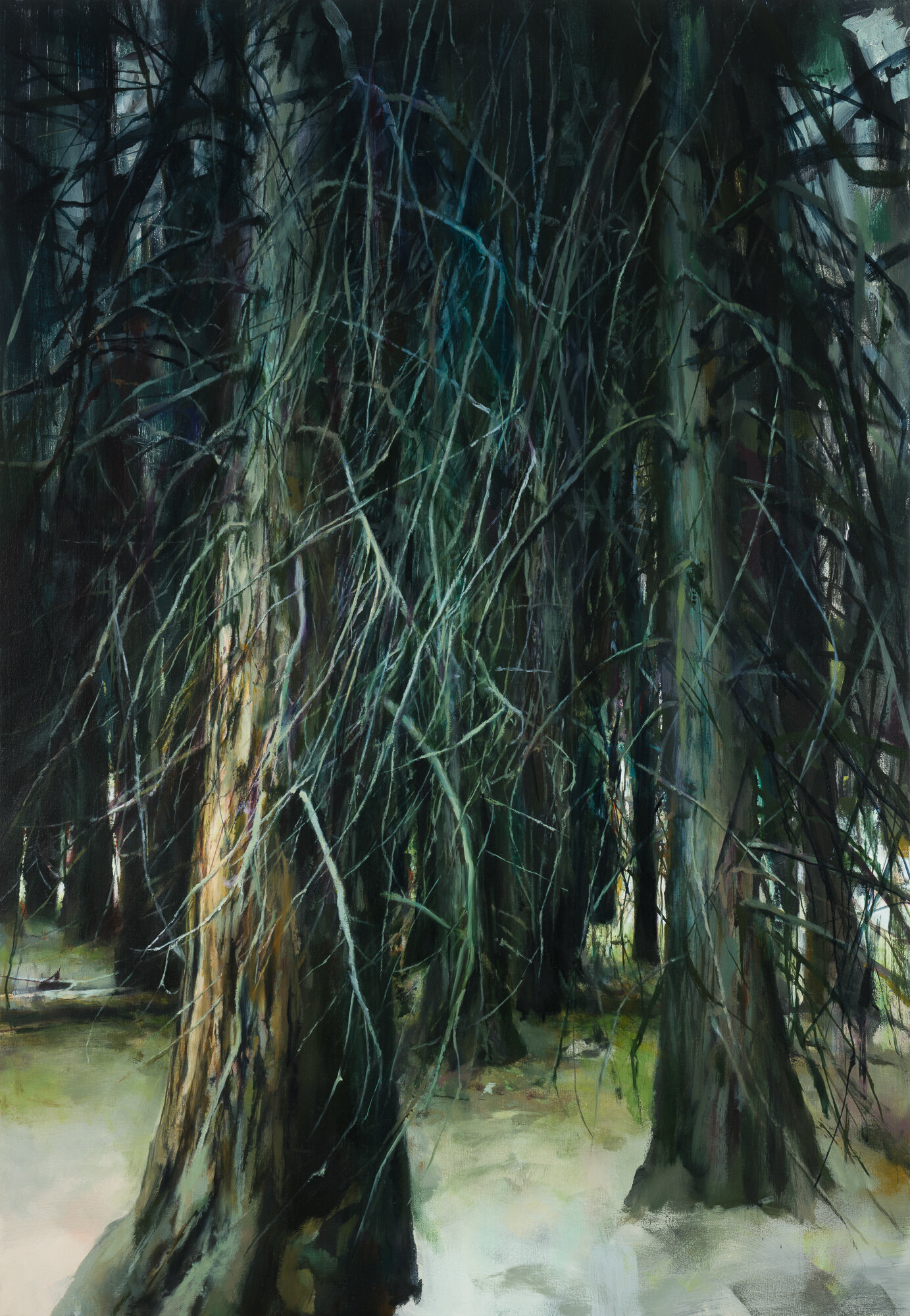   branches   52" x 36"  oil on canvas  2019     