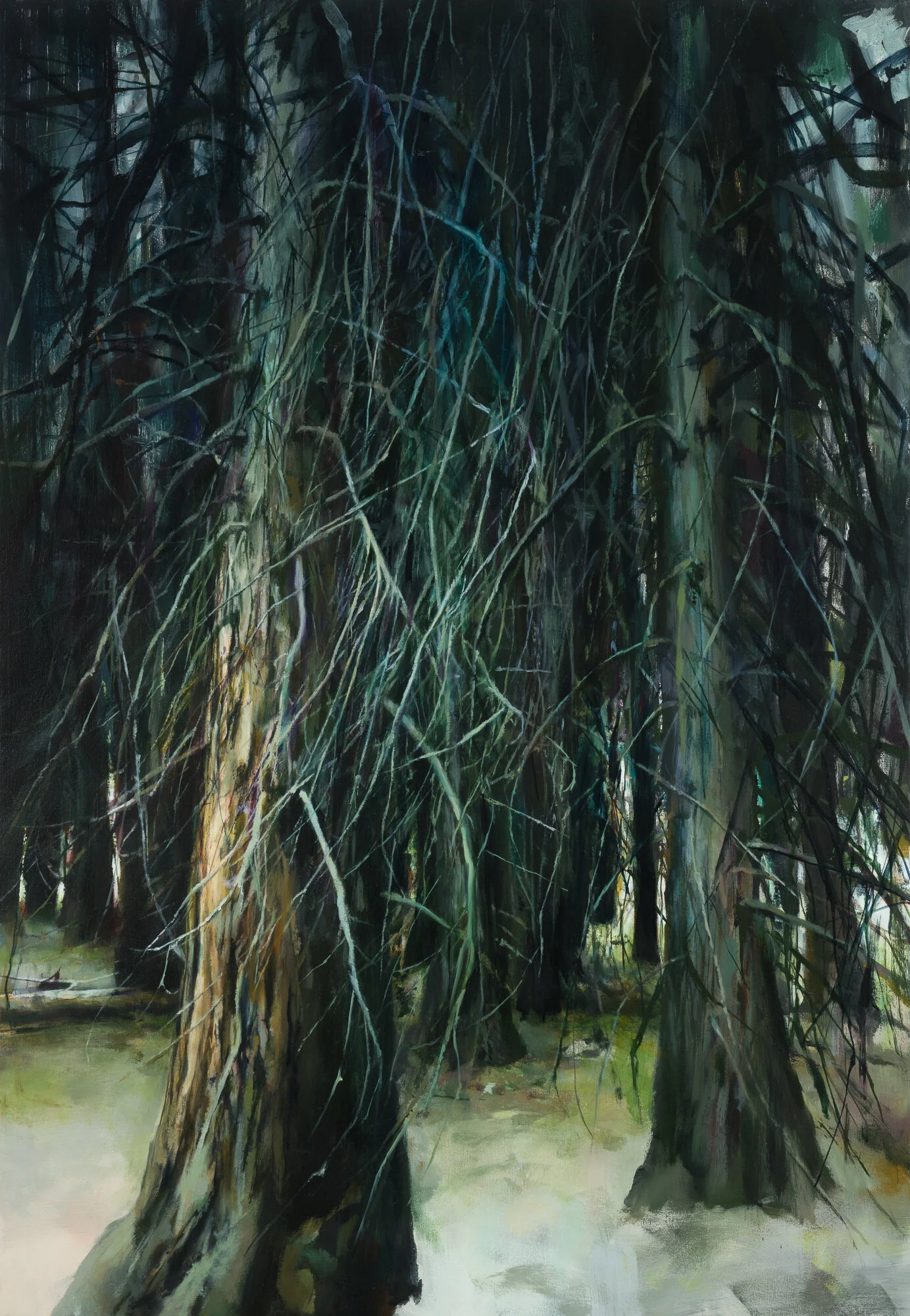 branches 52" x 36" oil on canvas 2019