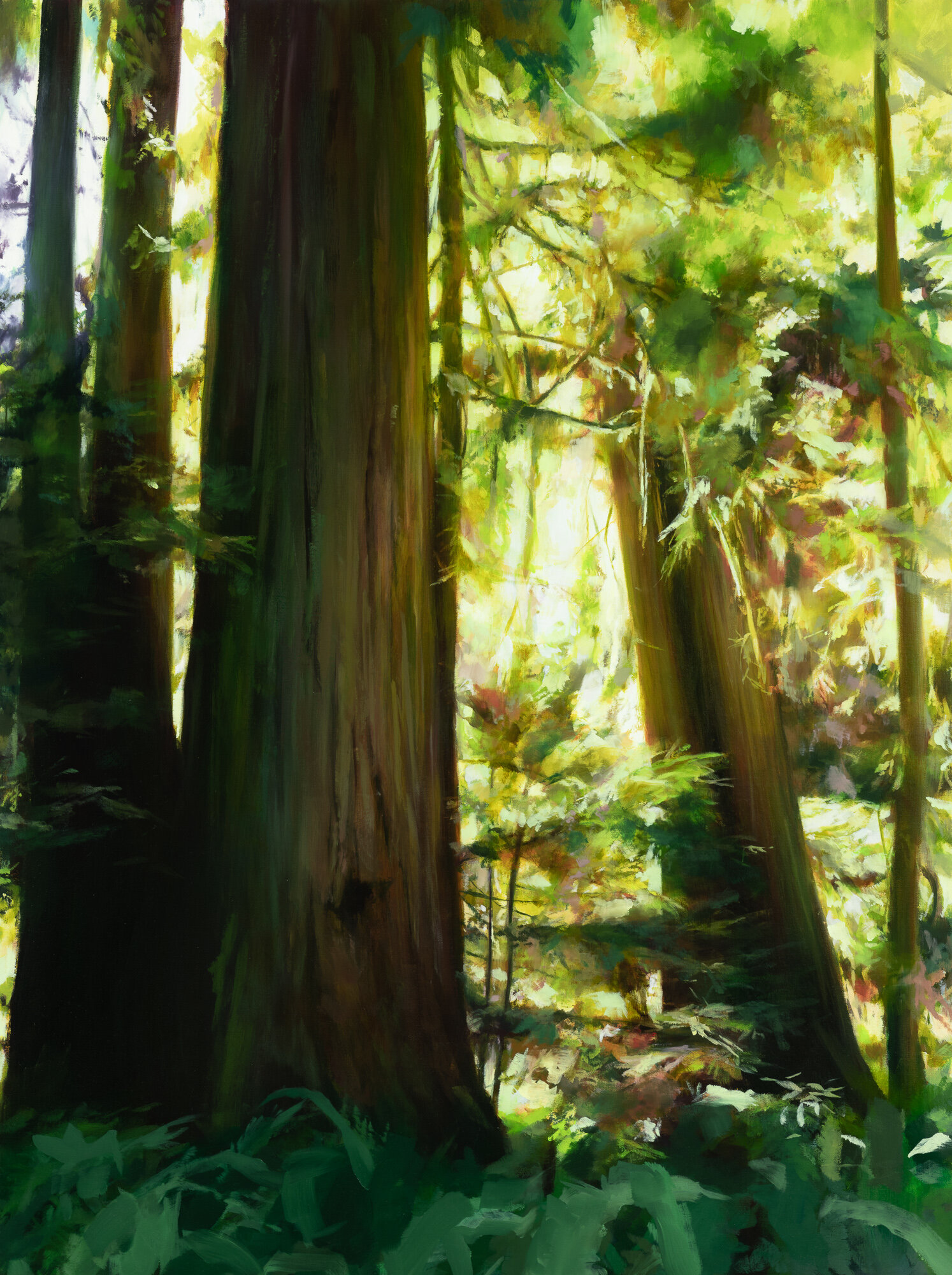   redwoods •   40" x 30"  oil on canvas  2020   