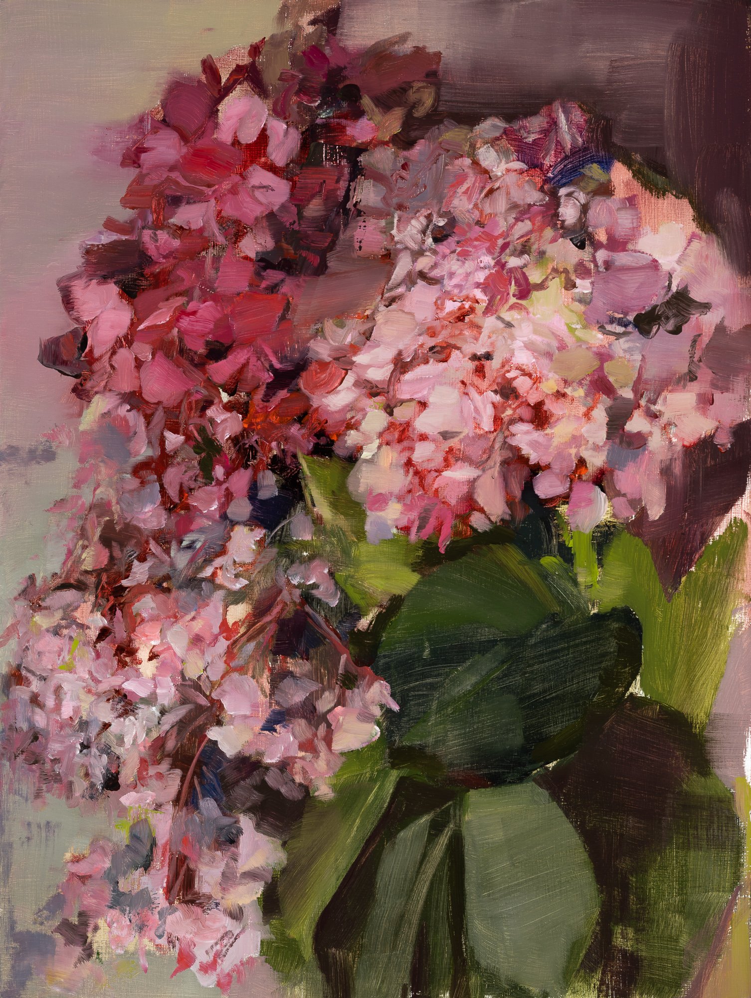   new hydrangea   16" x 12"  oil on panel  2022   