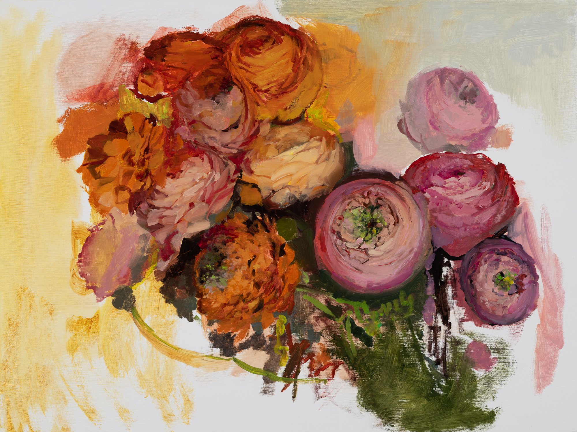   pink ranunculus 3   18" x 24"  oil on panel  2022   