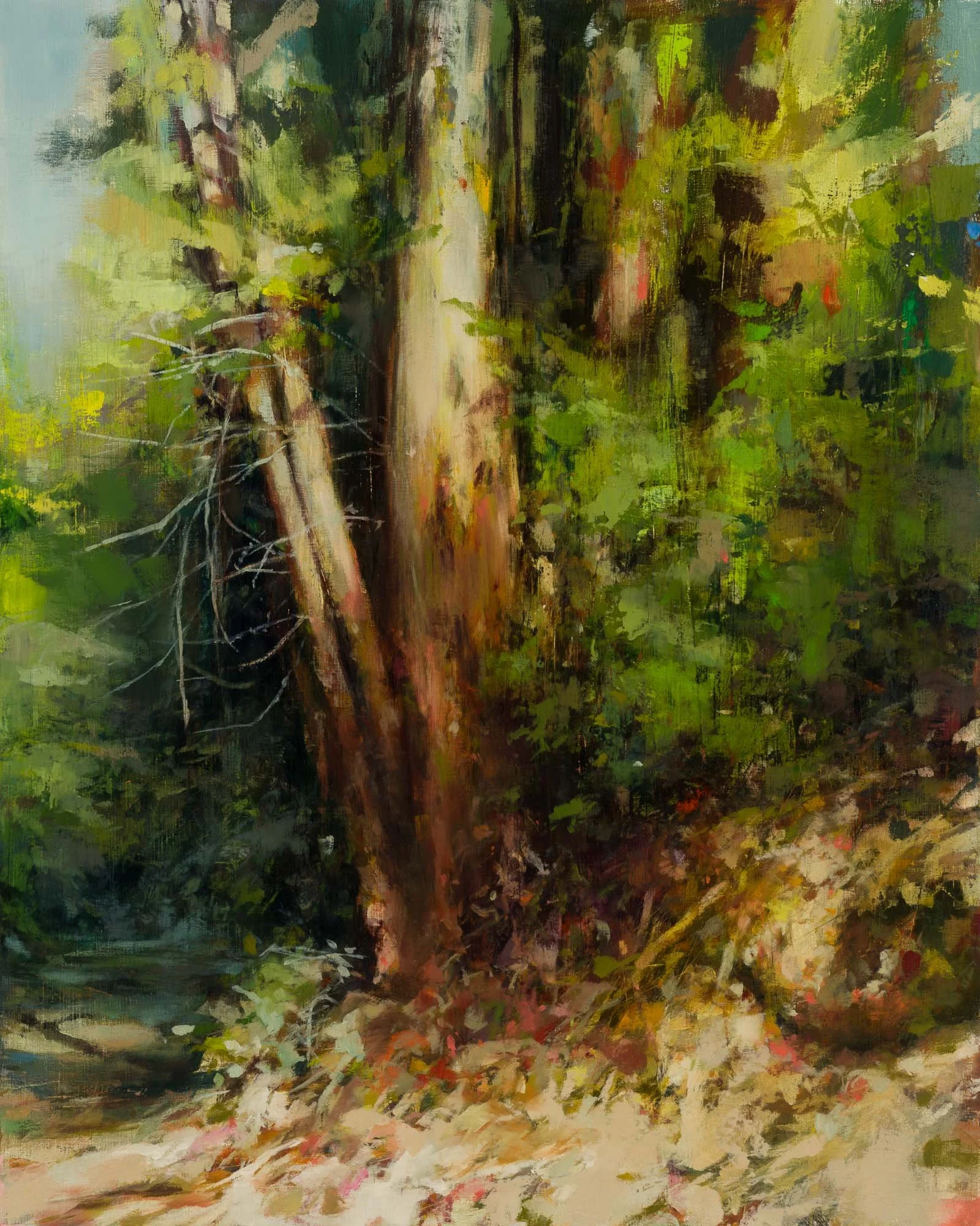   eucalyptus   20" x 16"  oil on panel  2023   