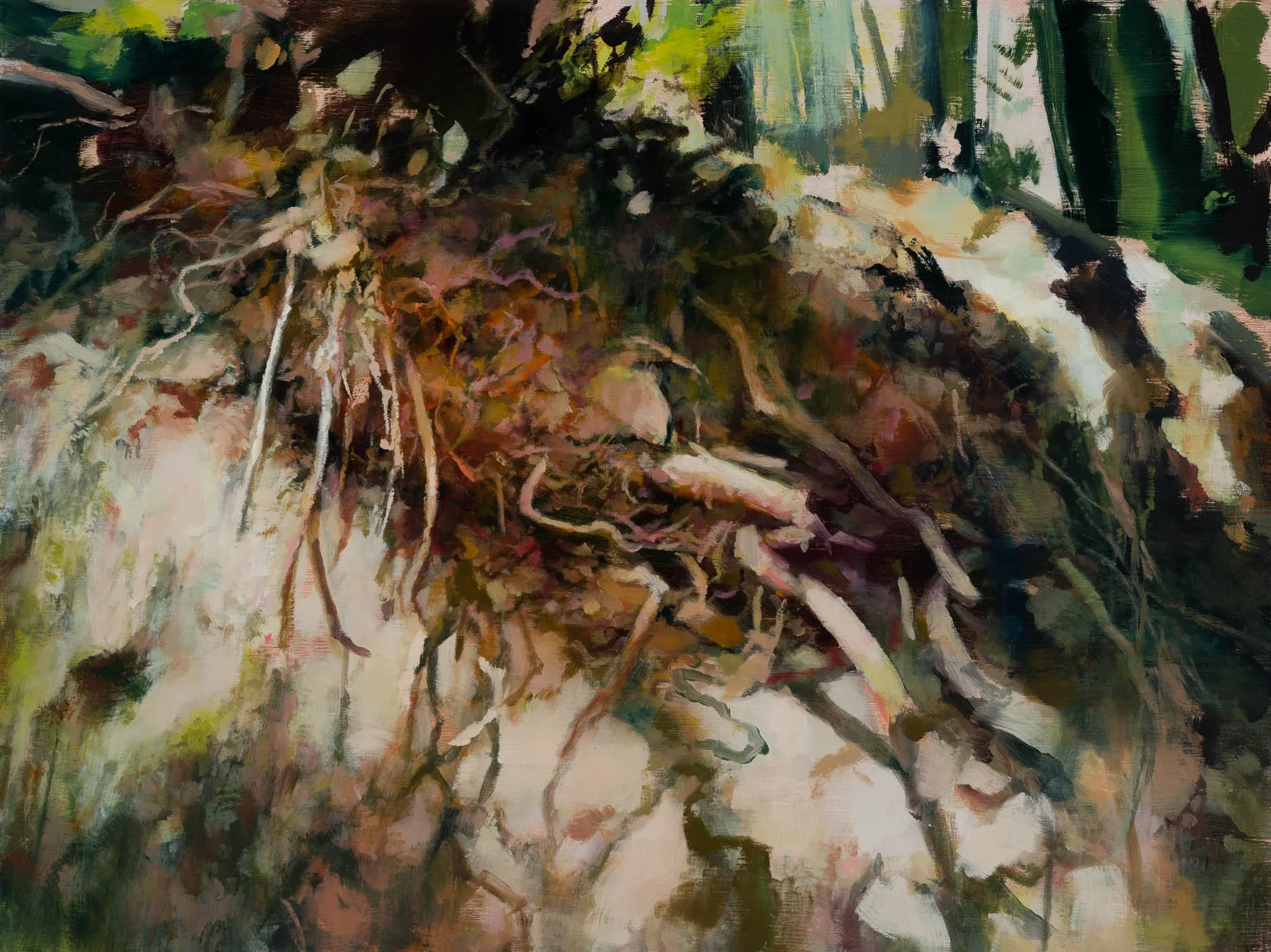   hillside   12" x 16"  oil on canvas  2023   