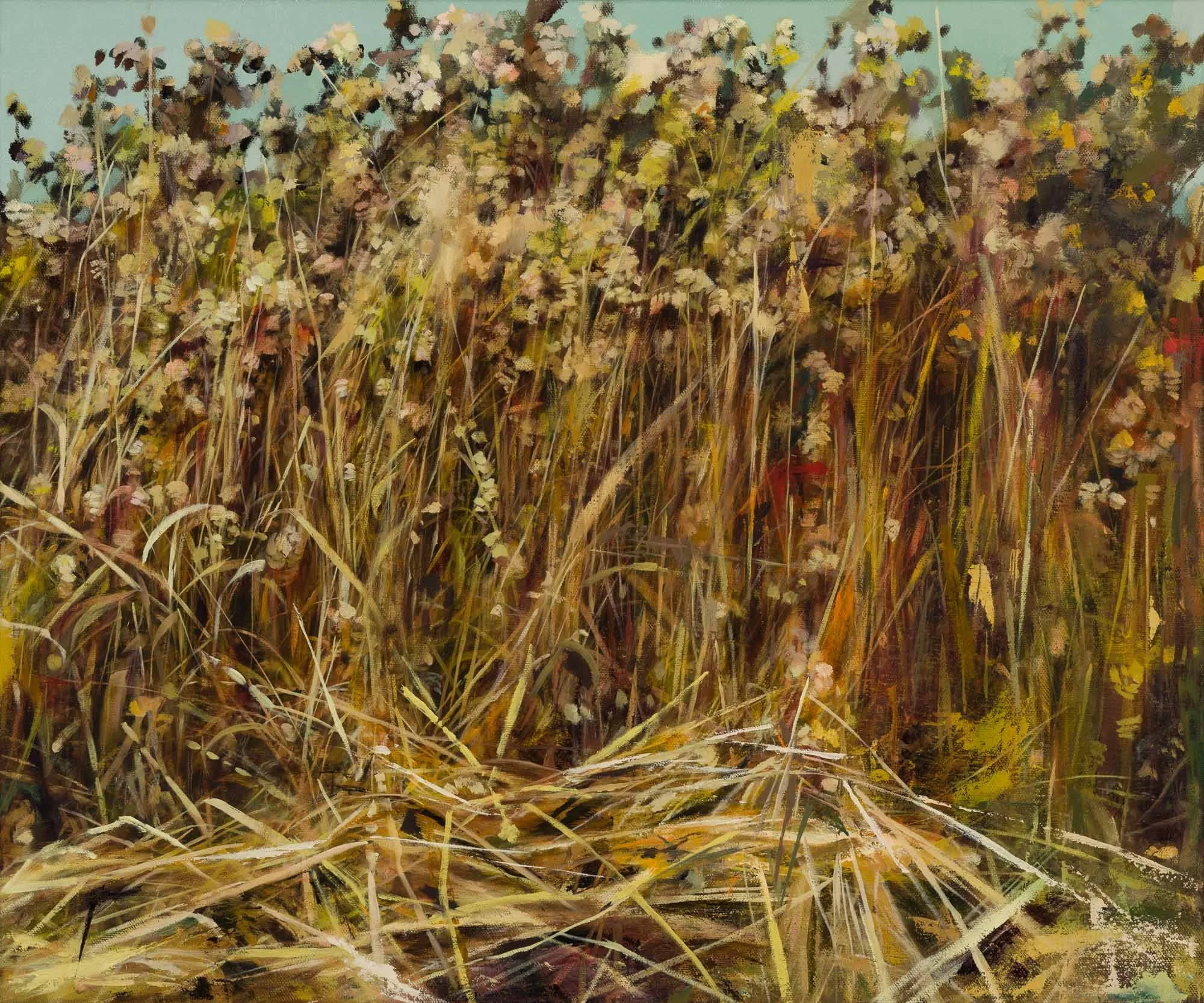   quaking grasses   20" x 24"  oil on canvas  2026   