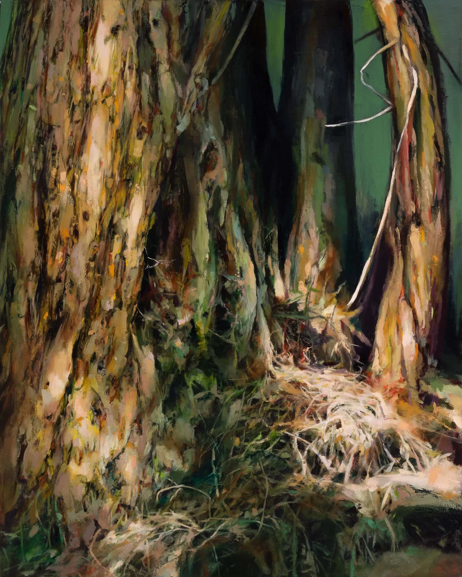   sunspots   50" x 40"  oil on canvas  2026   